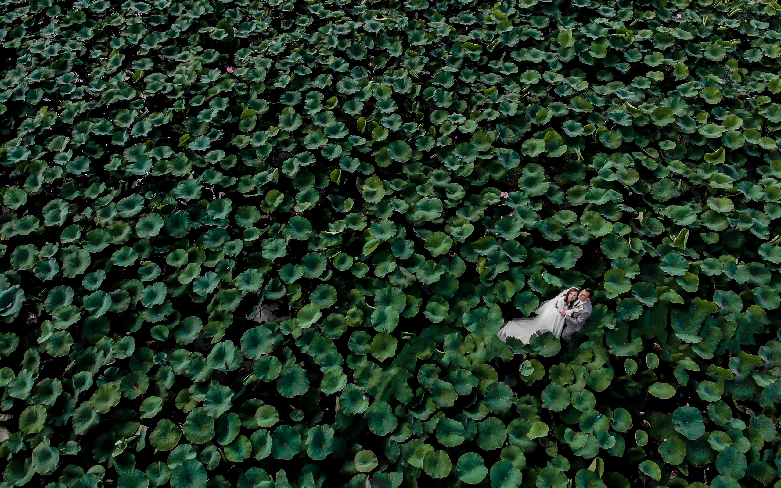 Свадьбы. Свадебный и семейный фотограф  в г.Краснодар