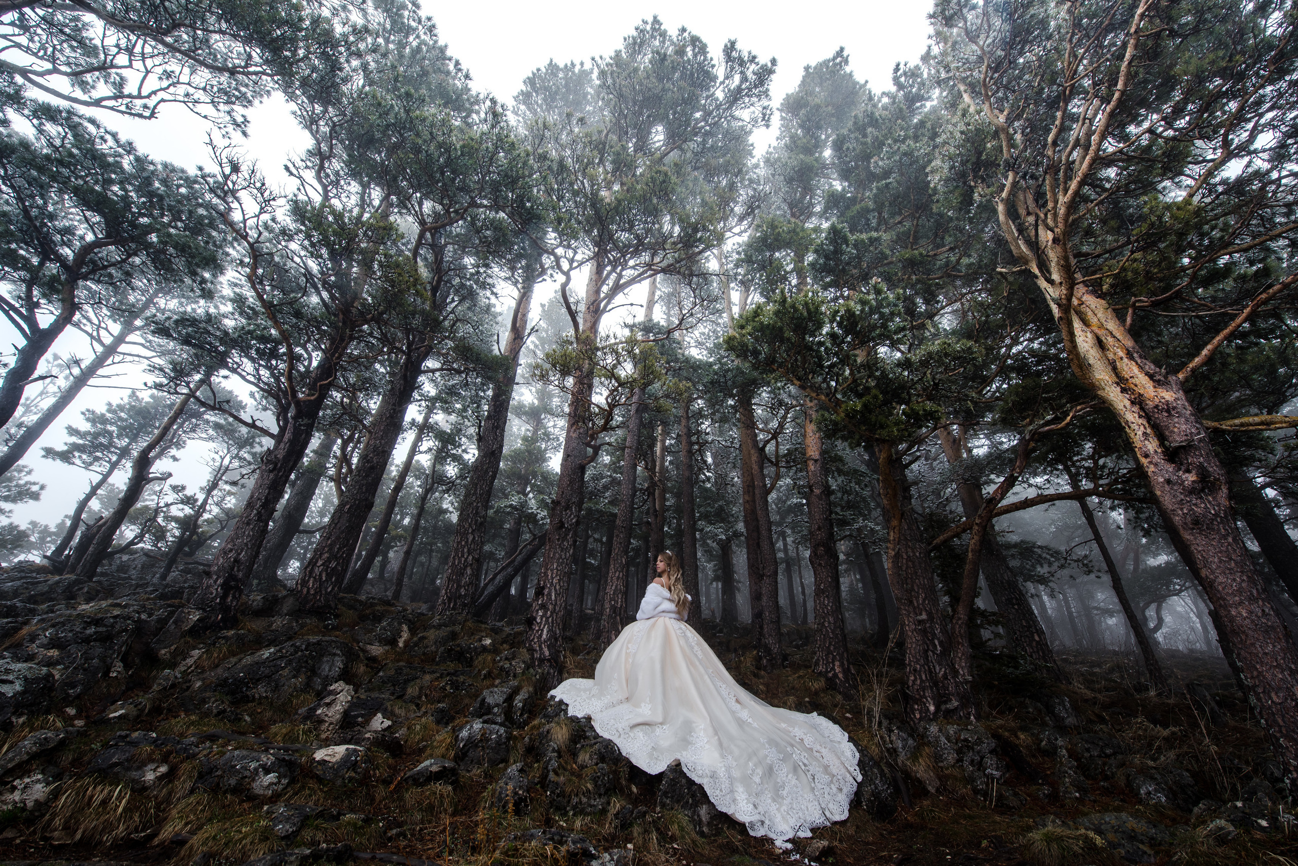 Свадьбы. Свадебный и семейный фотограф  в г.Краснодар