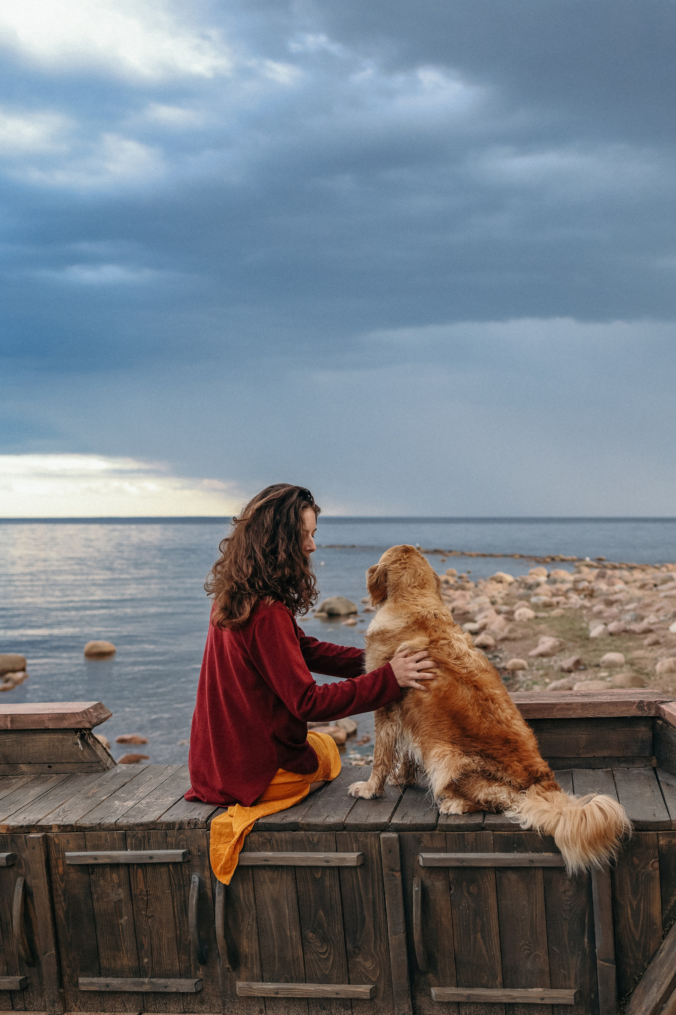 Собаки и их люди. Фотограф- анималист Санкт-Петербург