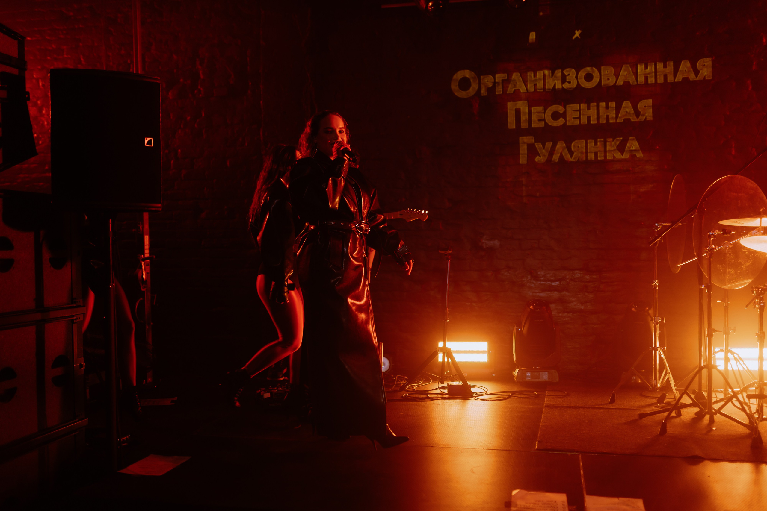 Организованная песенная гулянка!. Фотограф в Москве