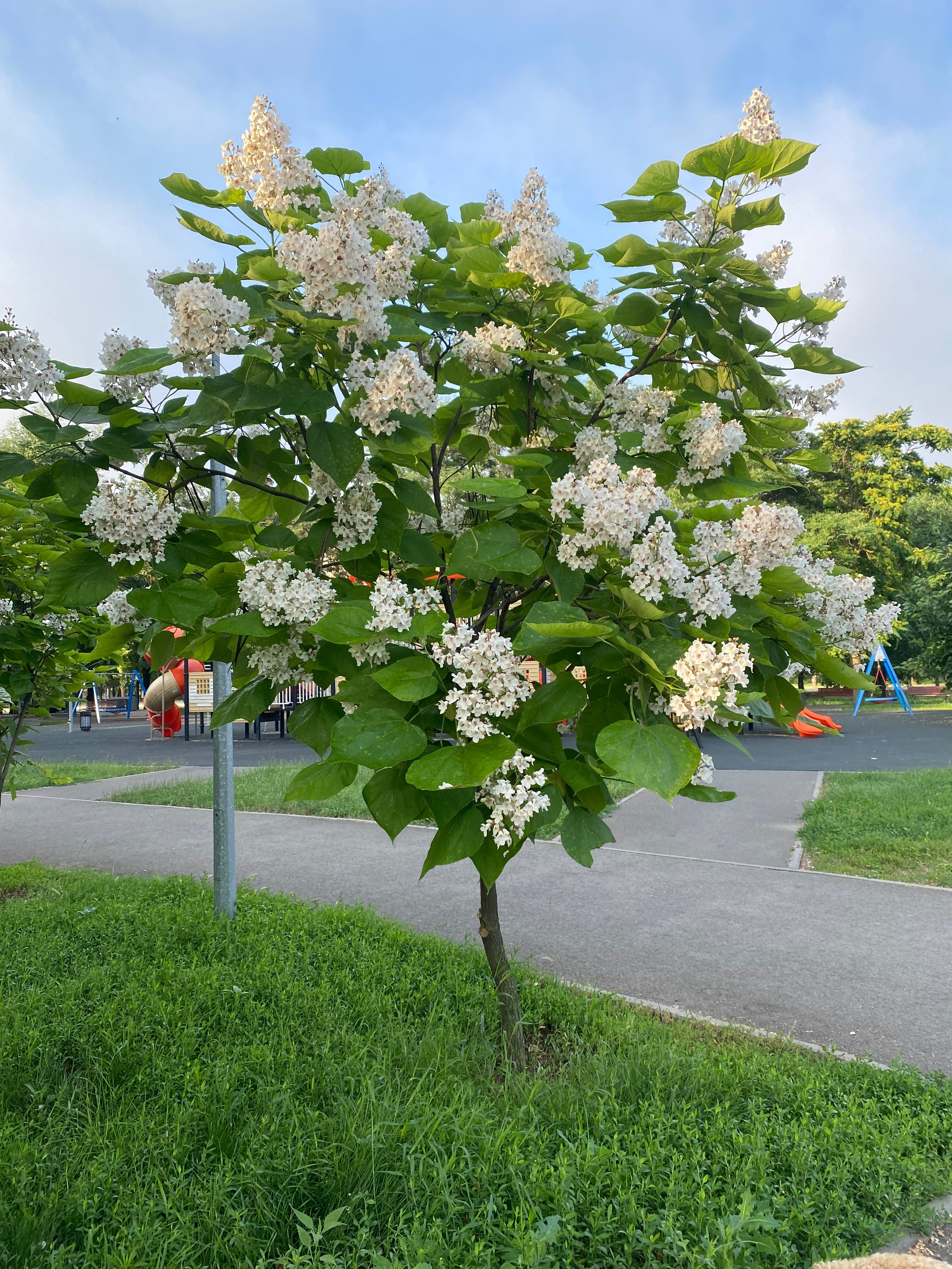 Пляжный поселок — 21. Своя Мастерская