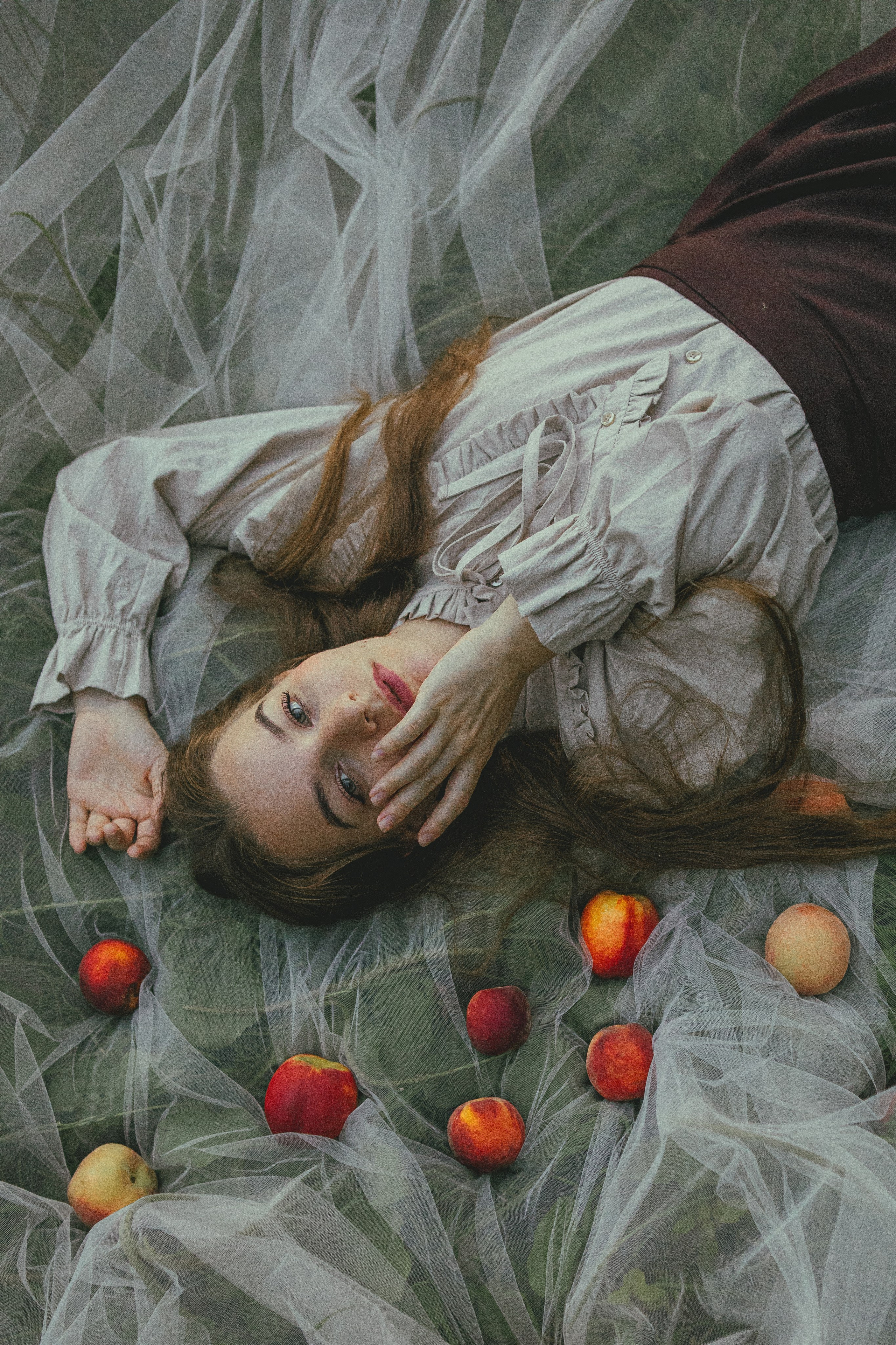 Пикник. Allirubrum