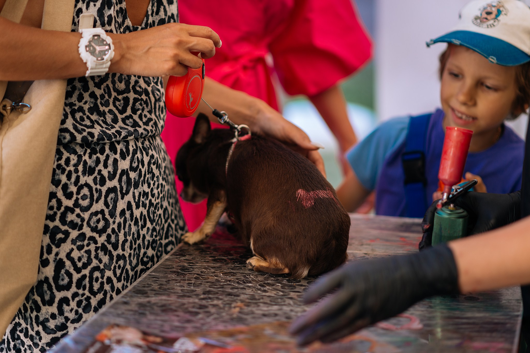 PETSHOP DAYS. Июнь 24. Репортажный фотограф в Санкт-Петербурге Анастасия Клёпова