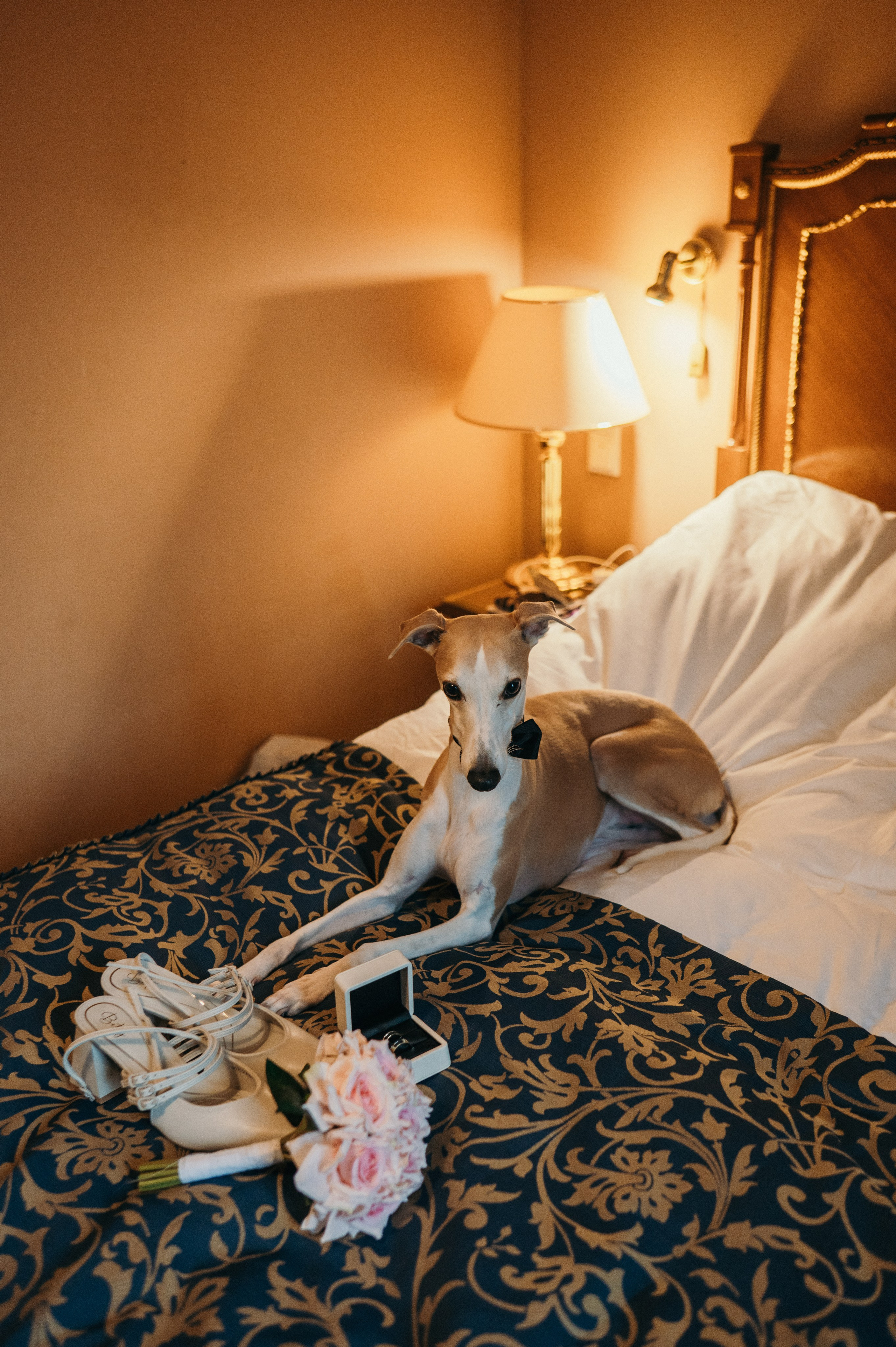 Алла и Саша. Фотограф Москва