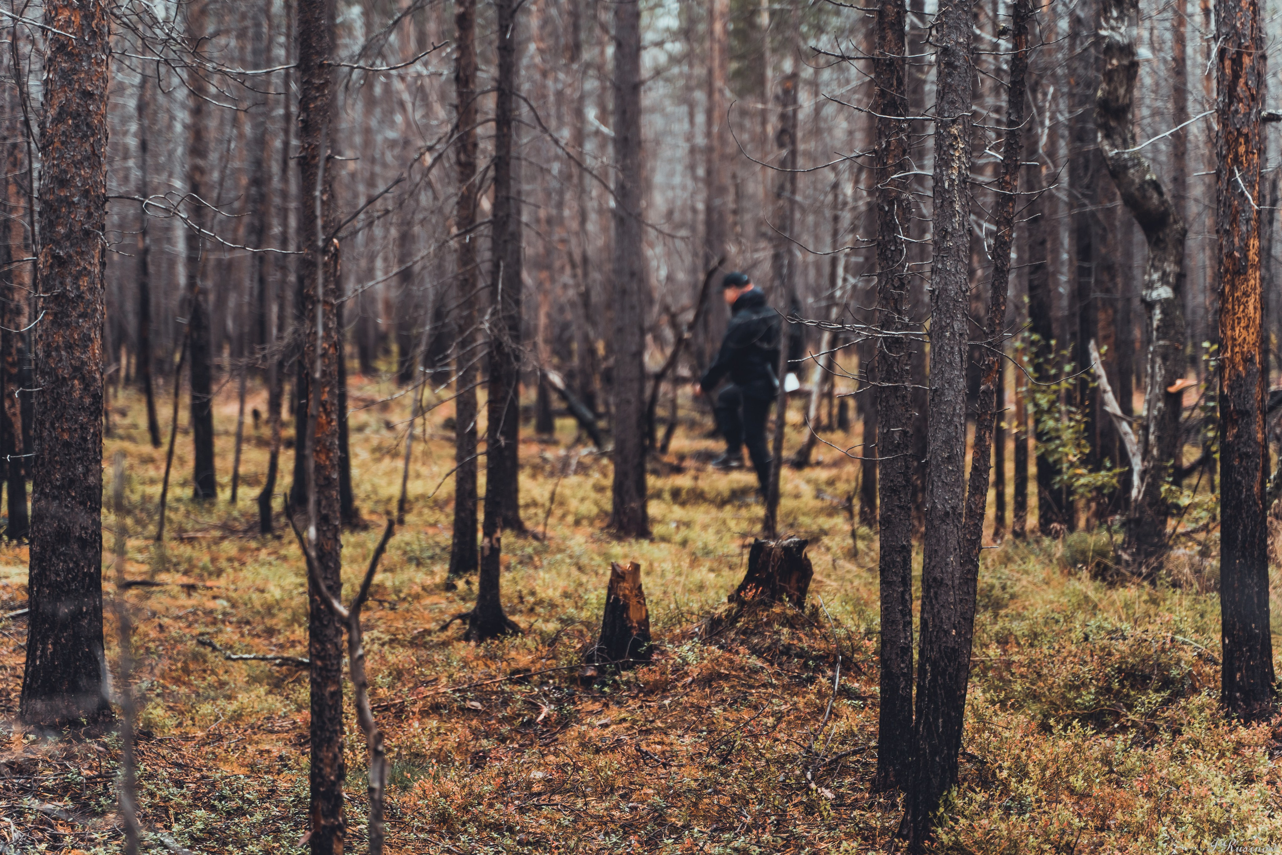 ХИБИНЫ 2021 г. Event фотограф Степанова Александра