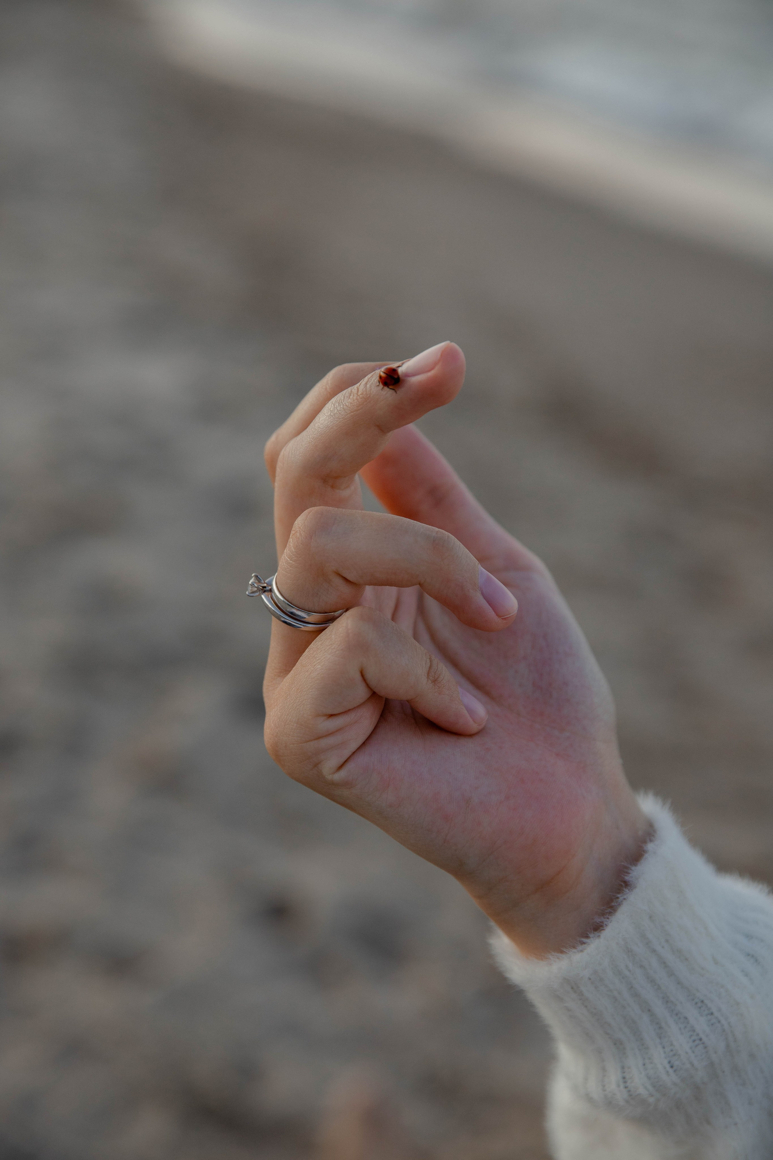 Фотосессия беременности на море. Свадебный фотограф Бакрымова Валентина