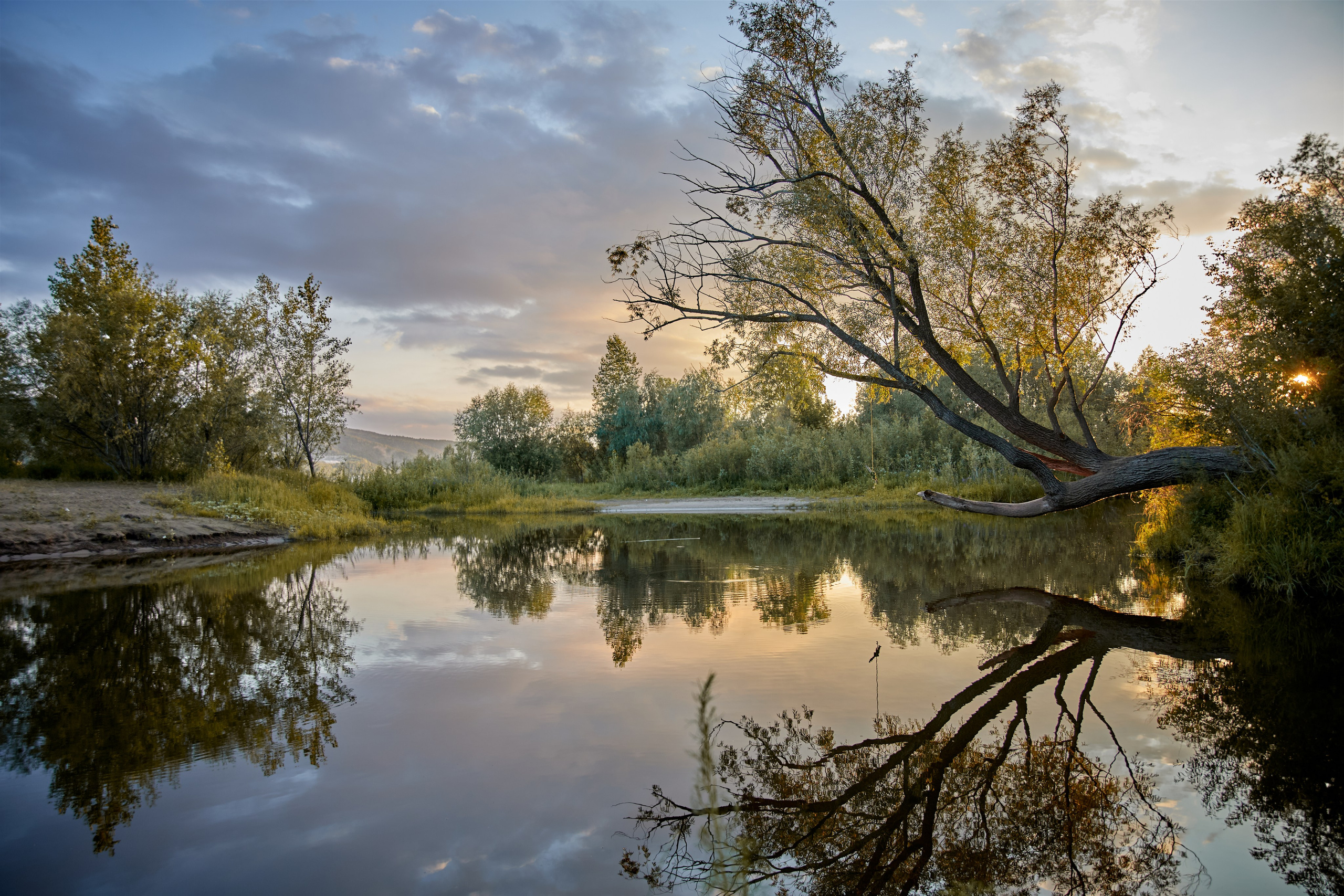 Валентина и Пряник. Фотограф в Самаре Анастасия Афанасьева