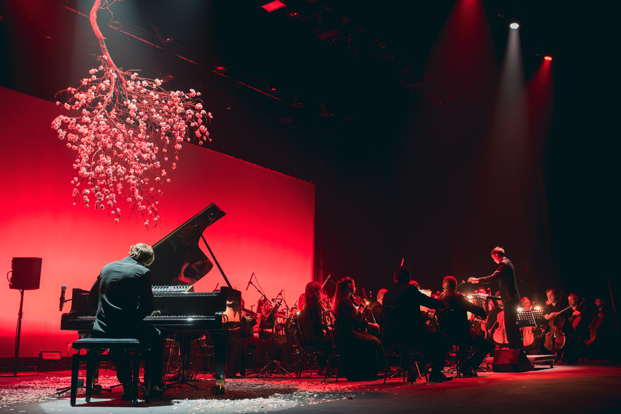 Никола Мельников / 2024. OOPS