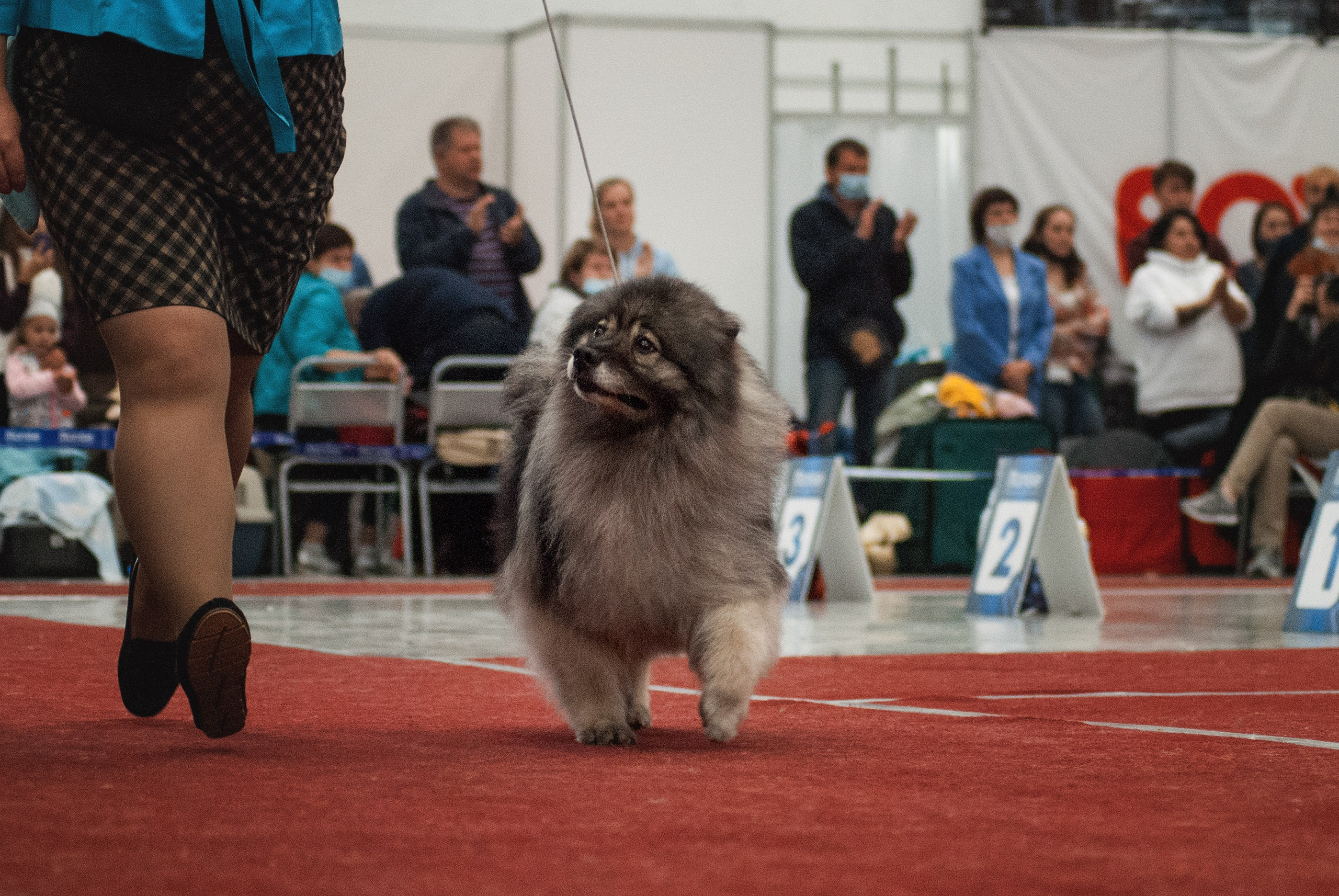 Шоу. Фотограф в Тюмени Лизавета Сапицкая