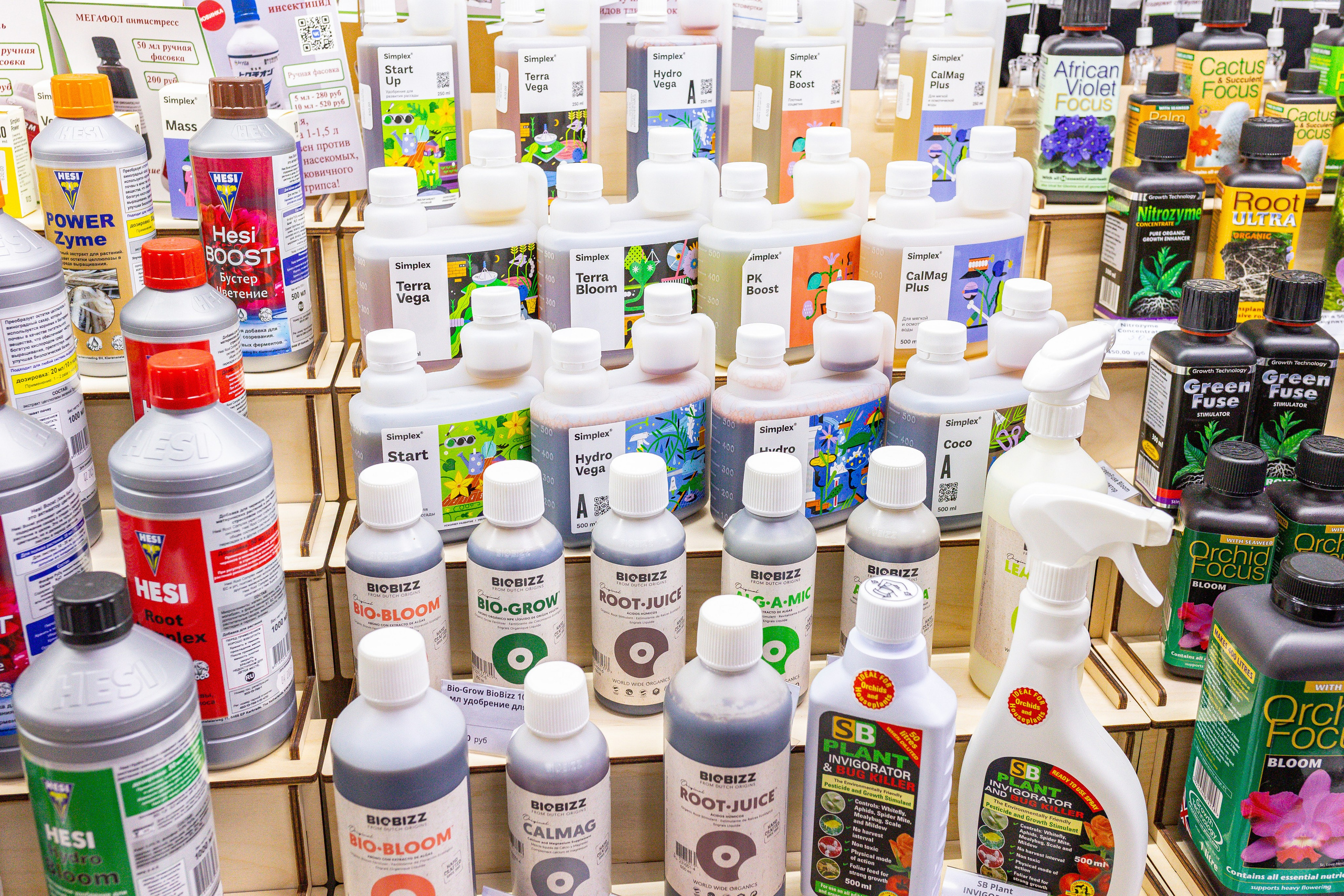 Монстериум 11–12 октября. Александра Куликова фотограф, Москва