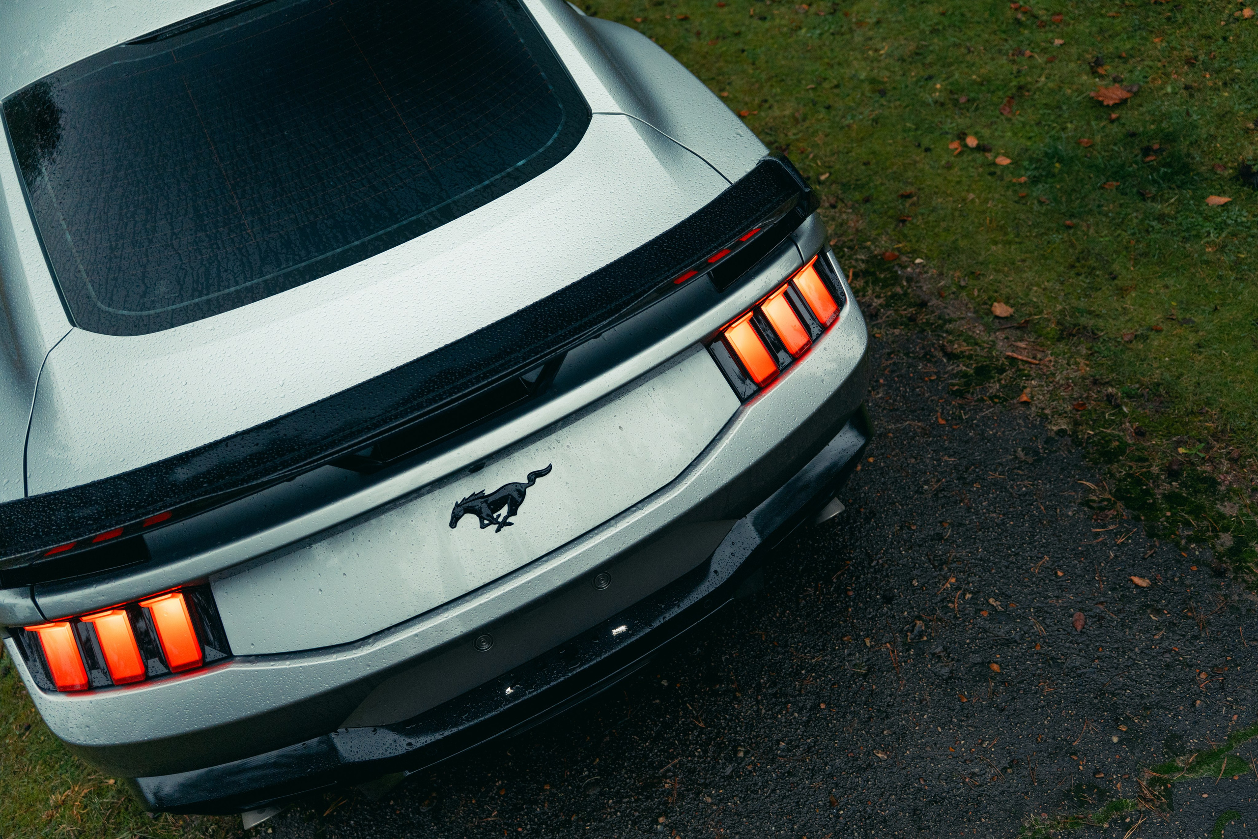 Фотографии Ford Mustang