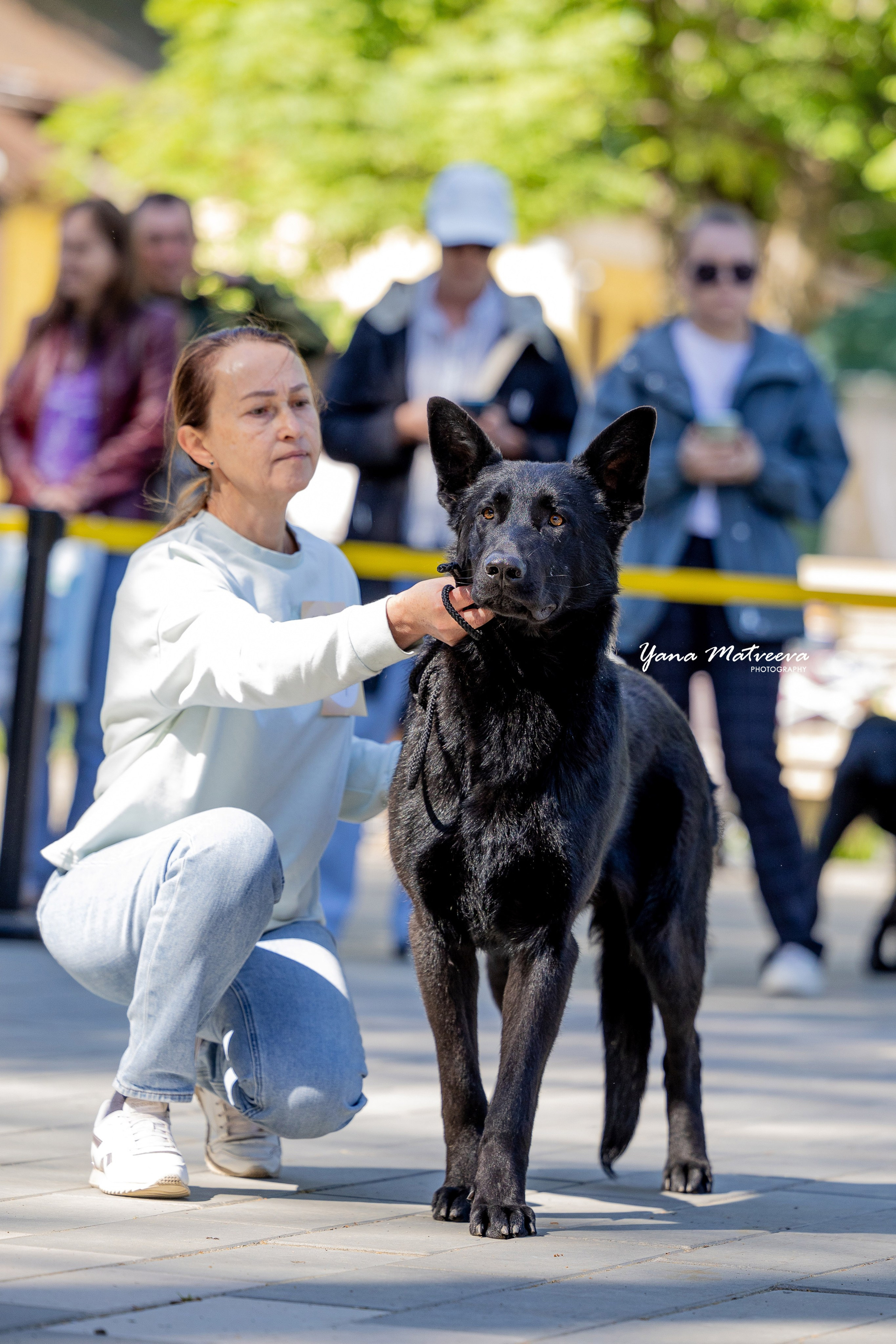 Собаки. Фотограф Яна Матвеева в Ижевске