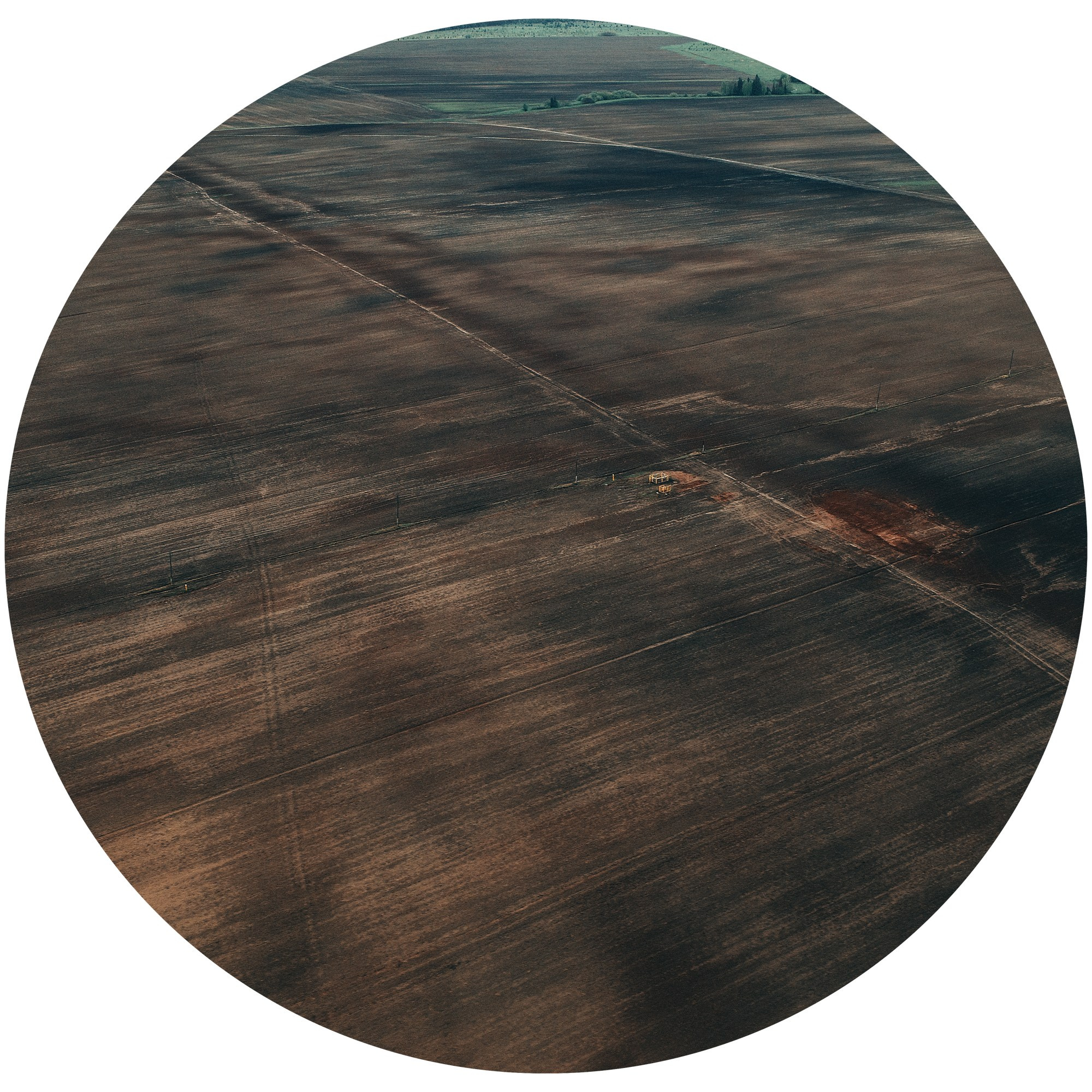 Ситец небес 2024. Яна Каменская