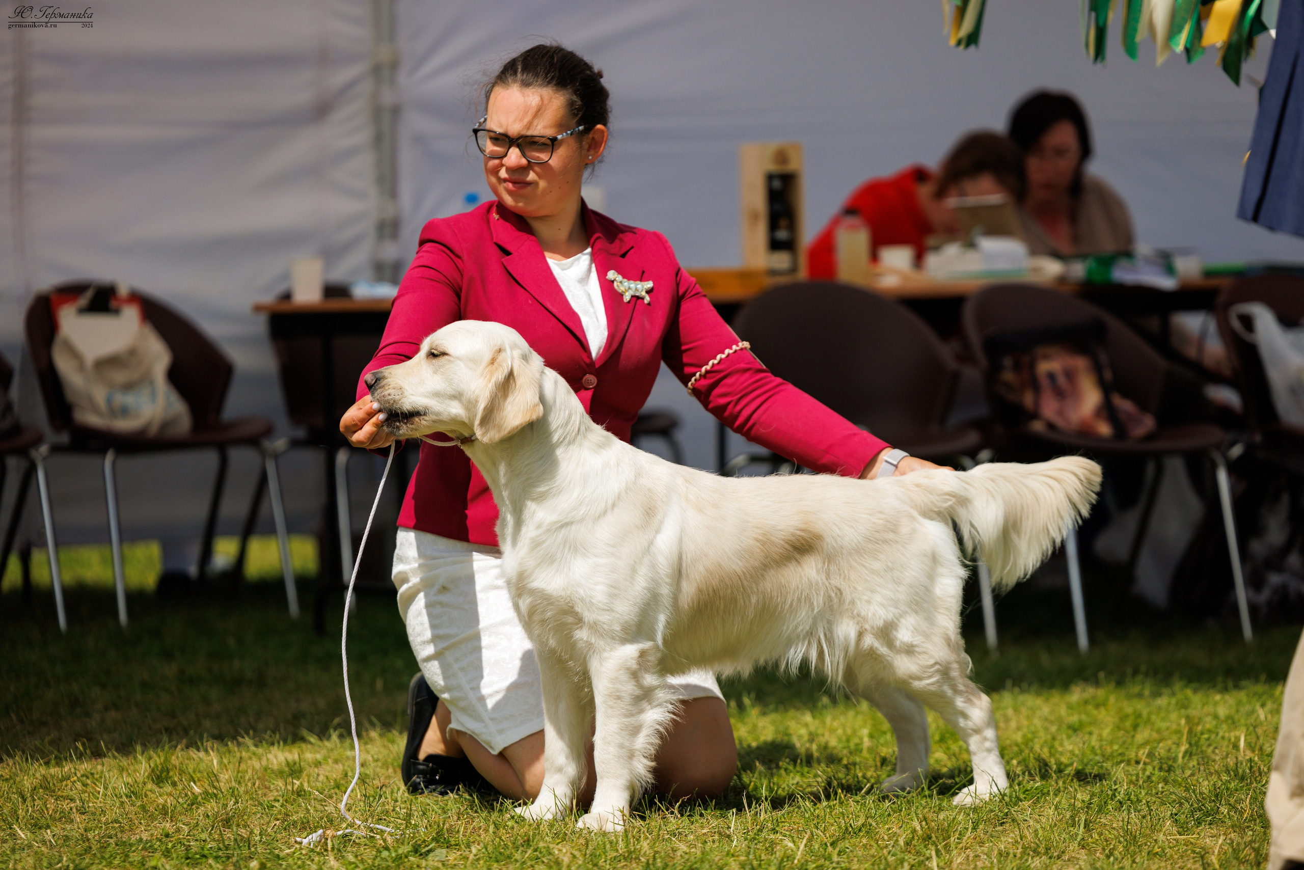 Голдены 15-16.06.2024. Фотограф-анималист Юлия Германика