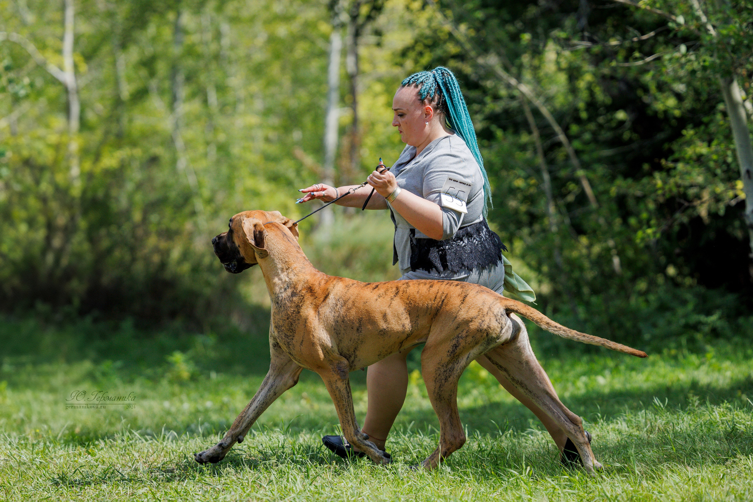 Астана 2хCACIB 17-18.08.2024. Фотограф-анималист Юлия Германика