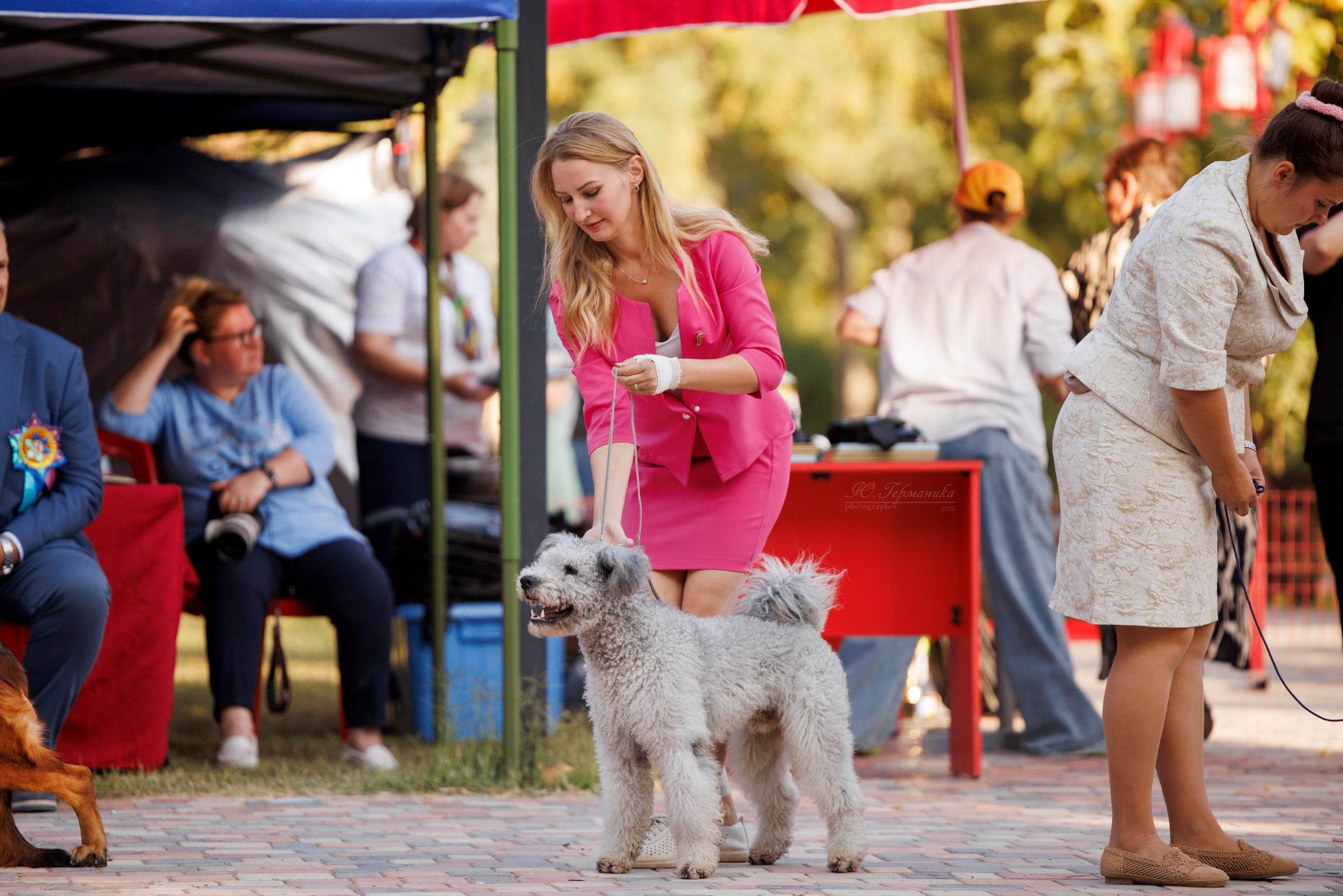 Ташкент 3хCACIB 3-5.10.2025. Фотограф-анималист Юлия Германика