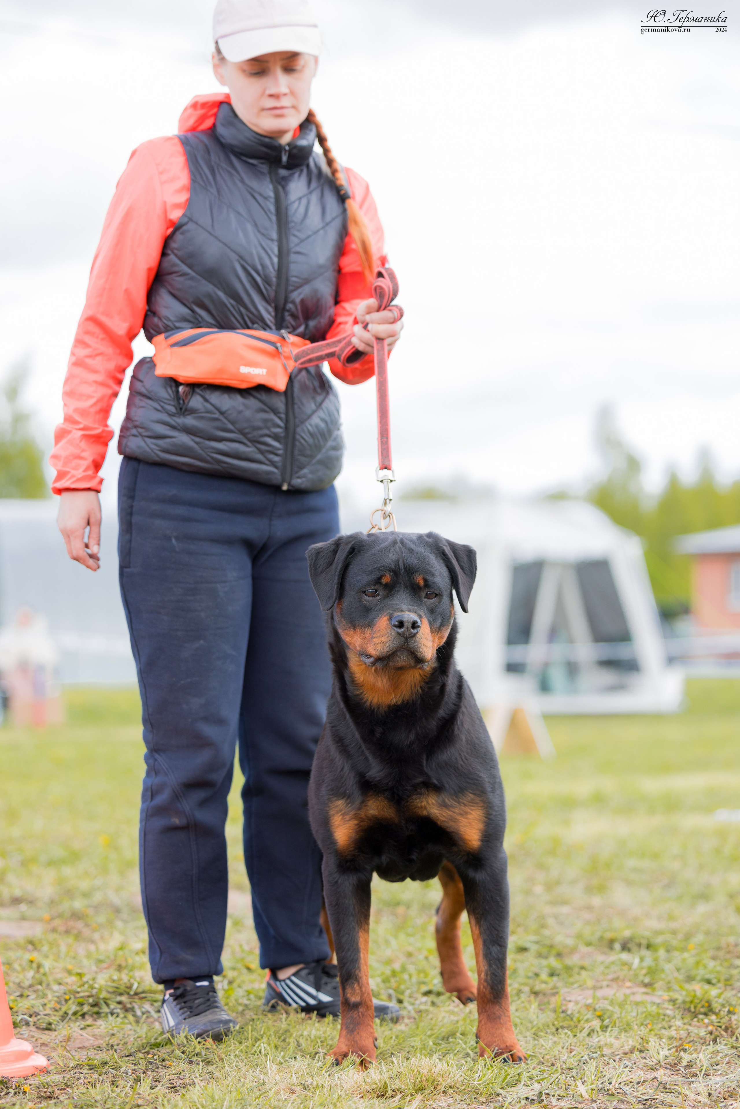 Нижний Новгород 11-12.05.2024 моно ротвейлеров. Фотограф-анималист Юлия Германика