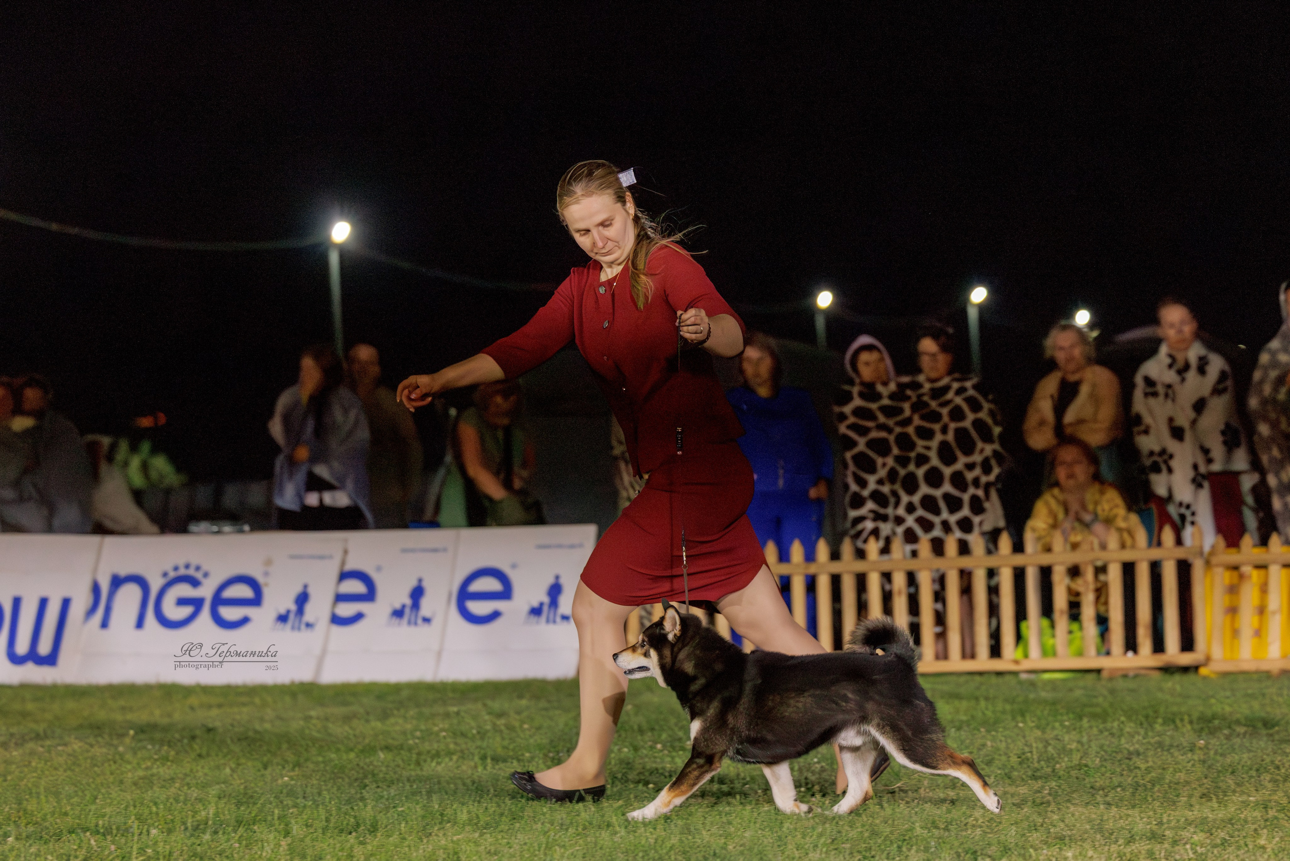 Ереван 3хCACIB 23-25.06.2025. Фотограф-анималист Юлия Германика