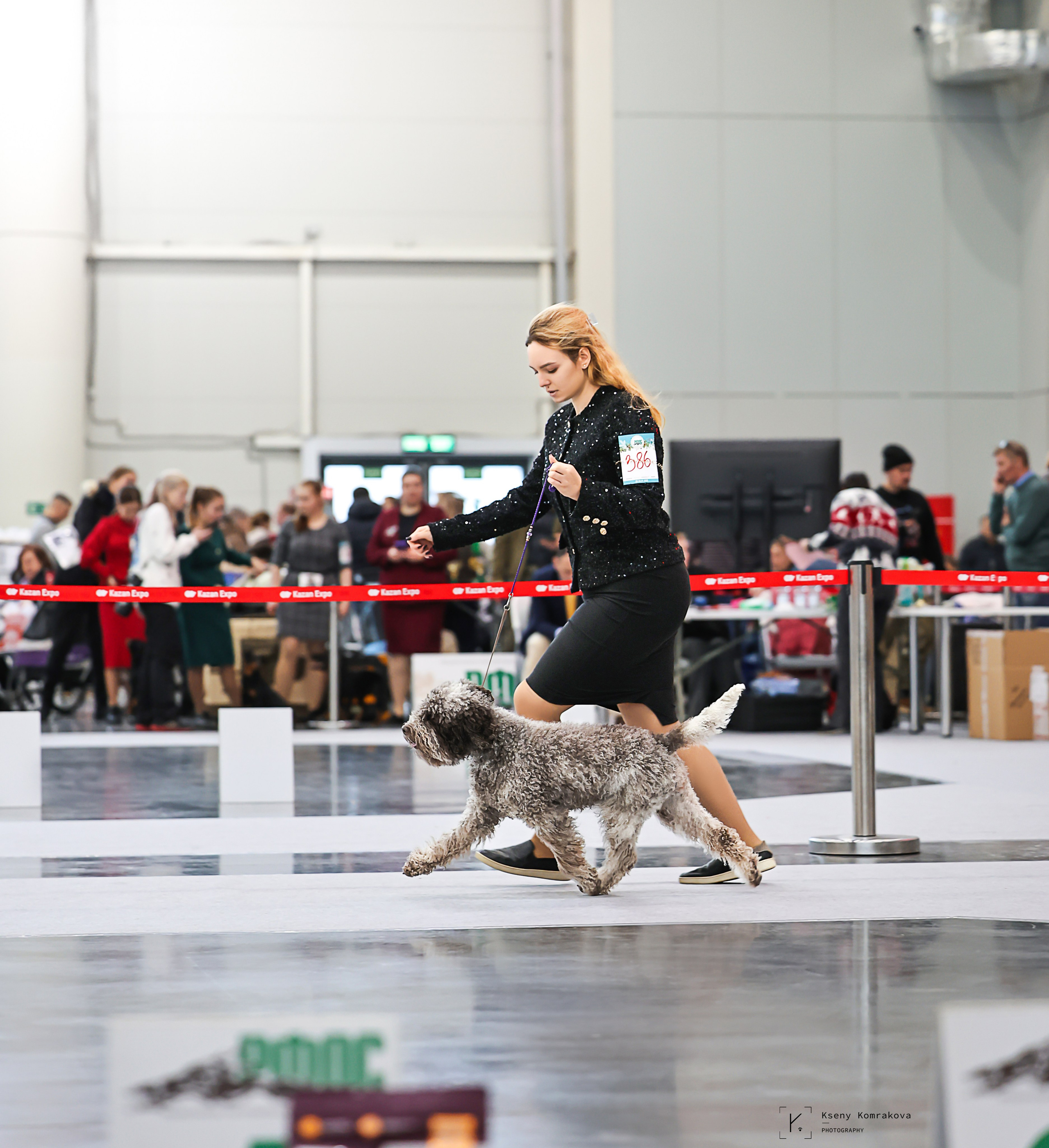 Съемка собак. Анималистика. Репортаж. Индивидуальная съемка