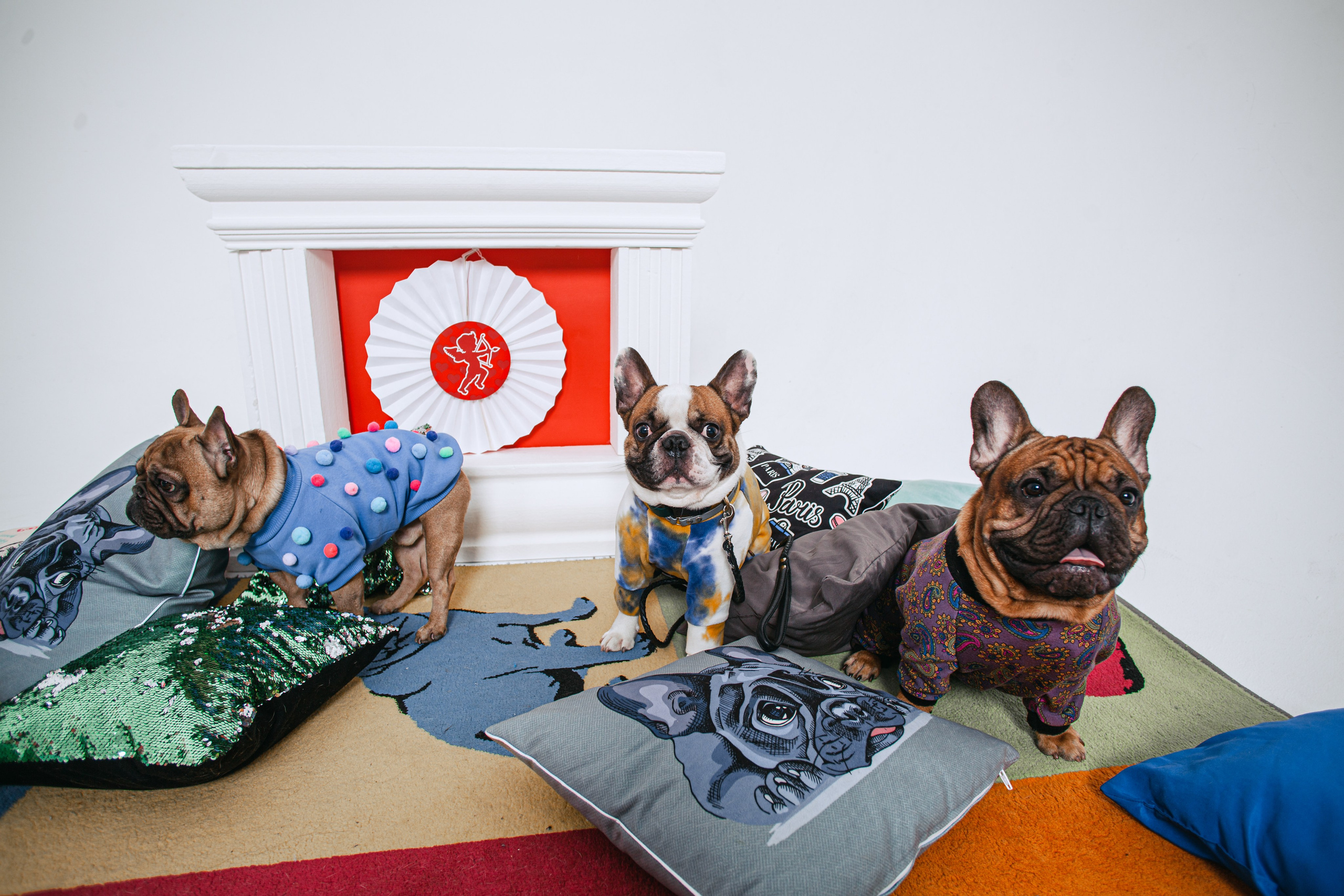 Пижамная вечеринка французских бульдогов и их хозяев. Фотограф-анималист Татьяна Степанова