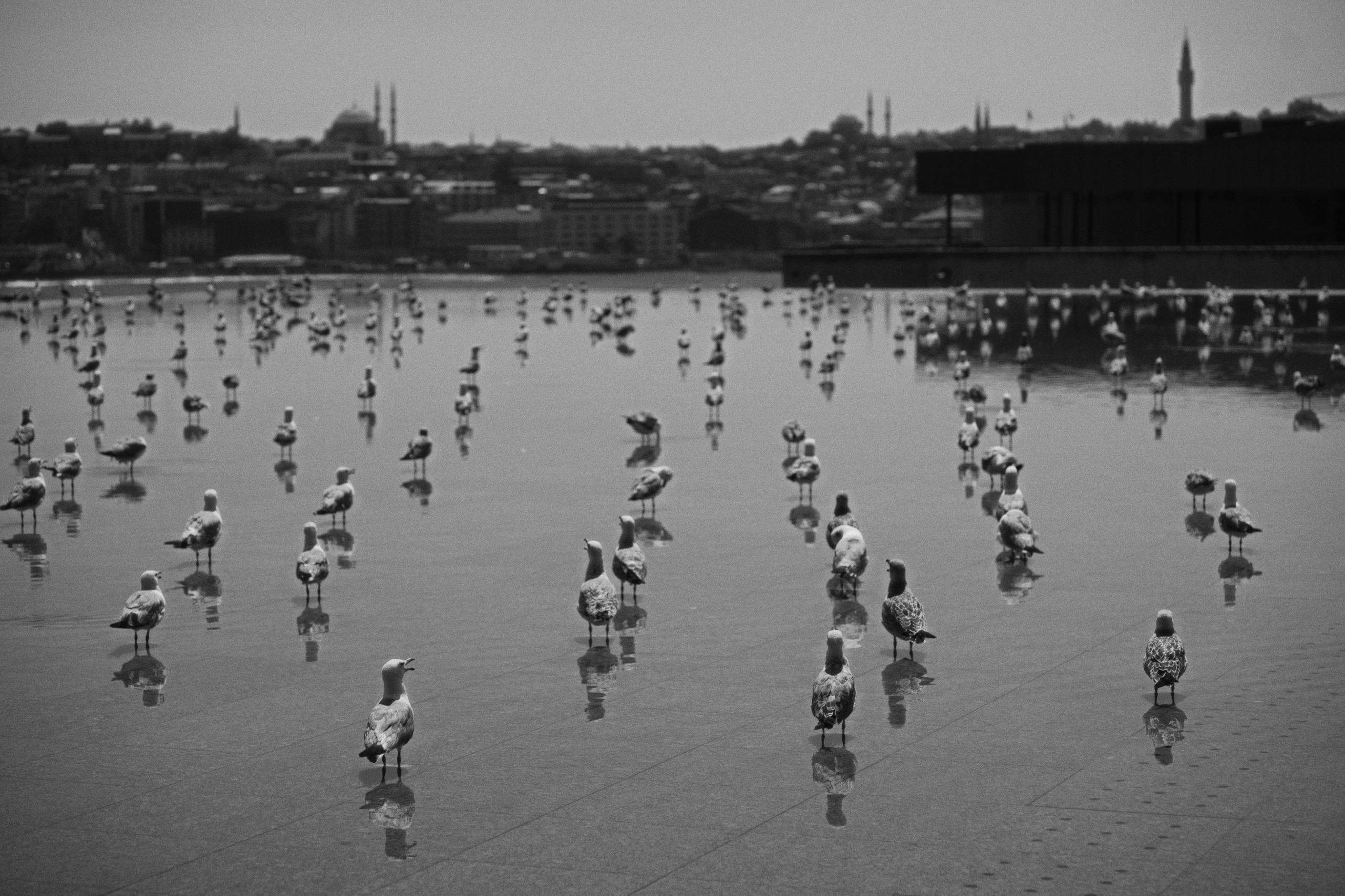 Istanbul Modern. Фотограф Юрин Евгений
