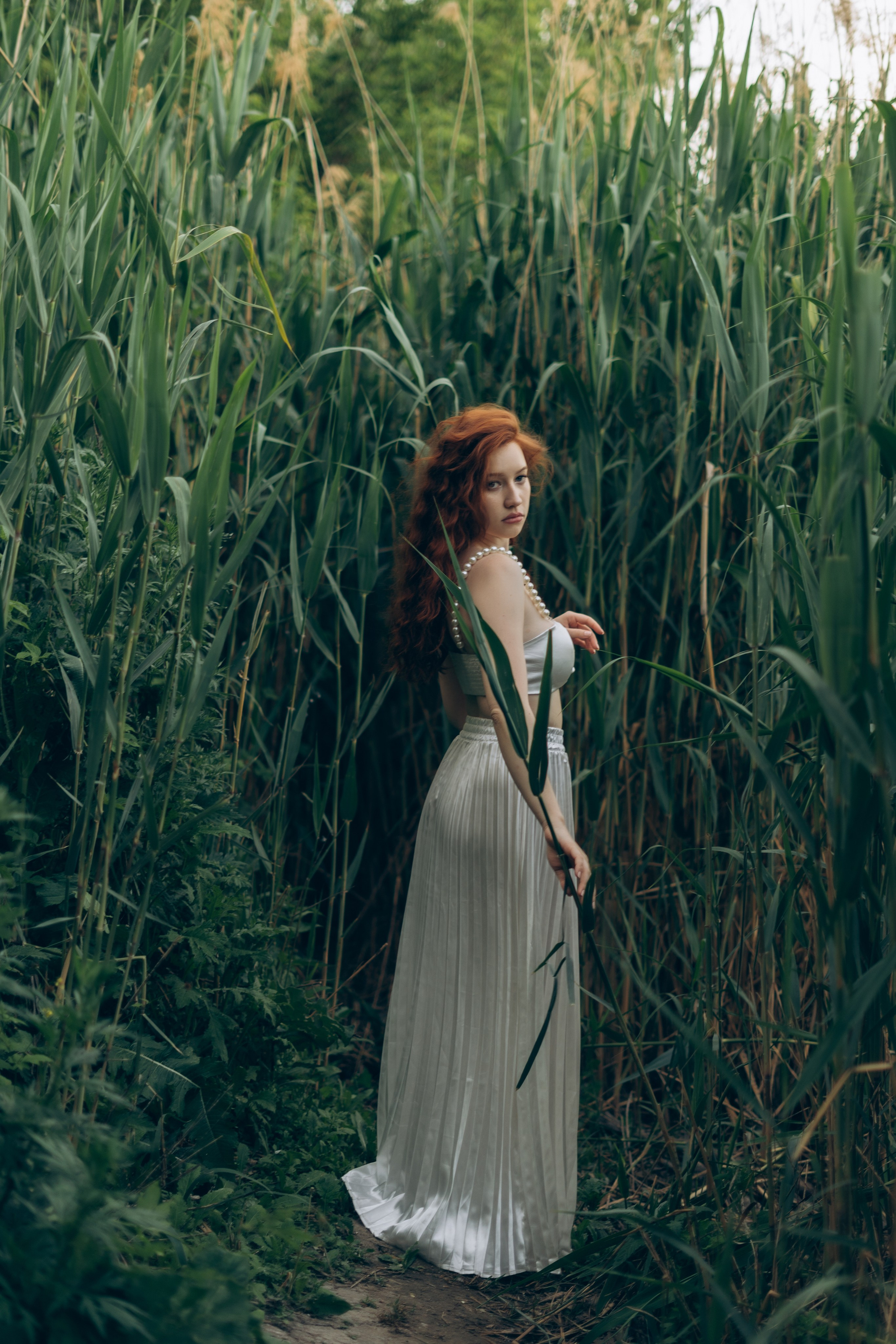 Аполлинария