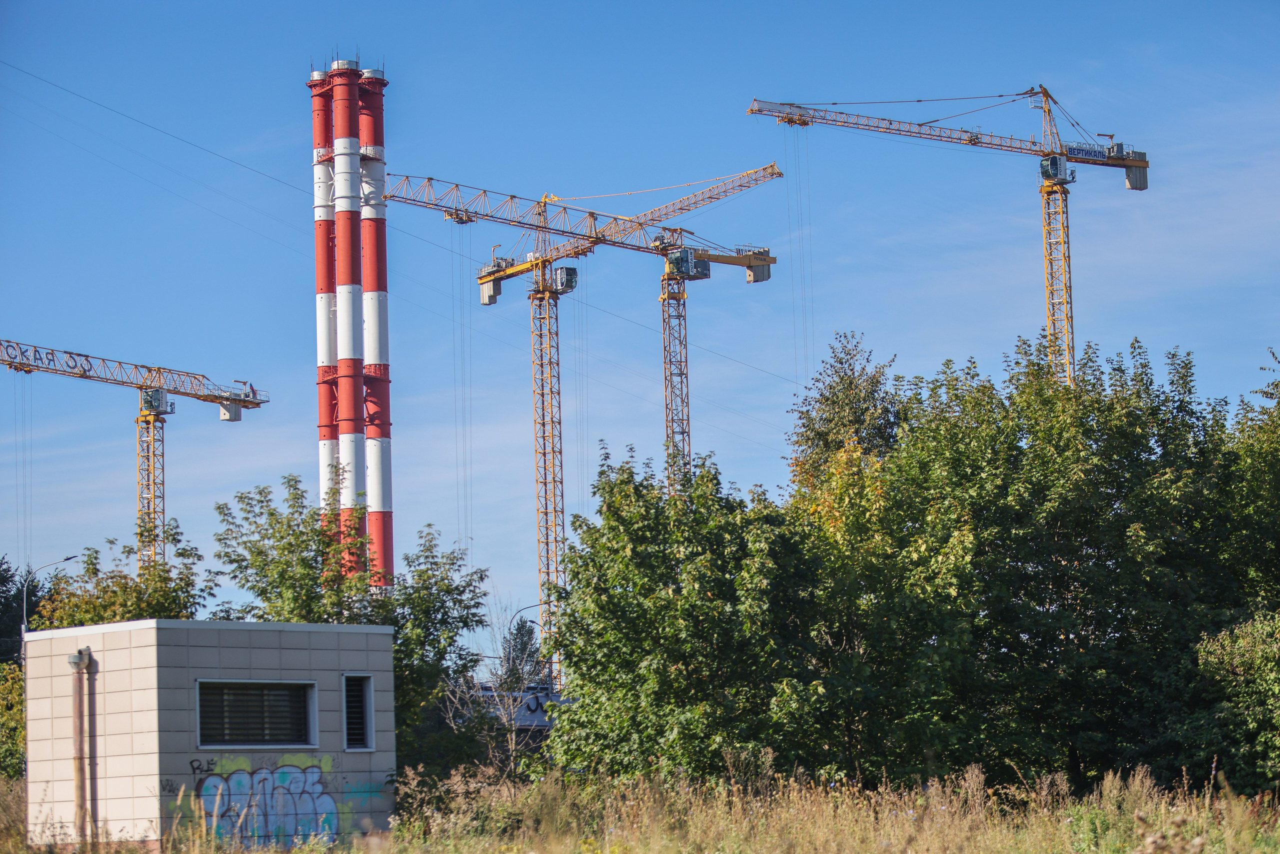 5 вёрст Крылатское 13.09.25. Фотограф Сергей Ловкий
