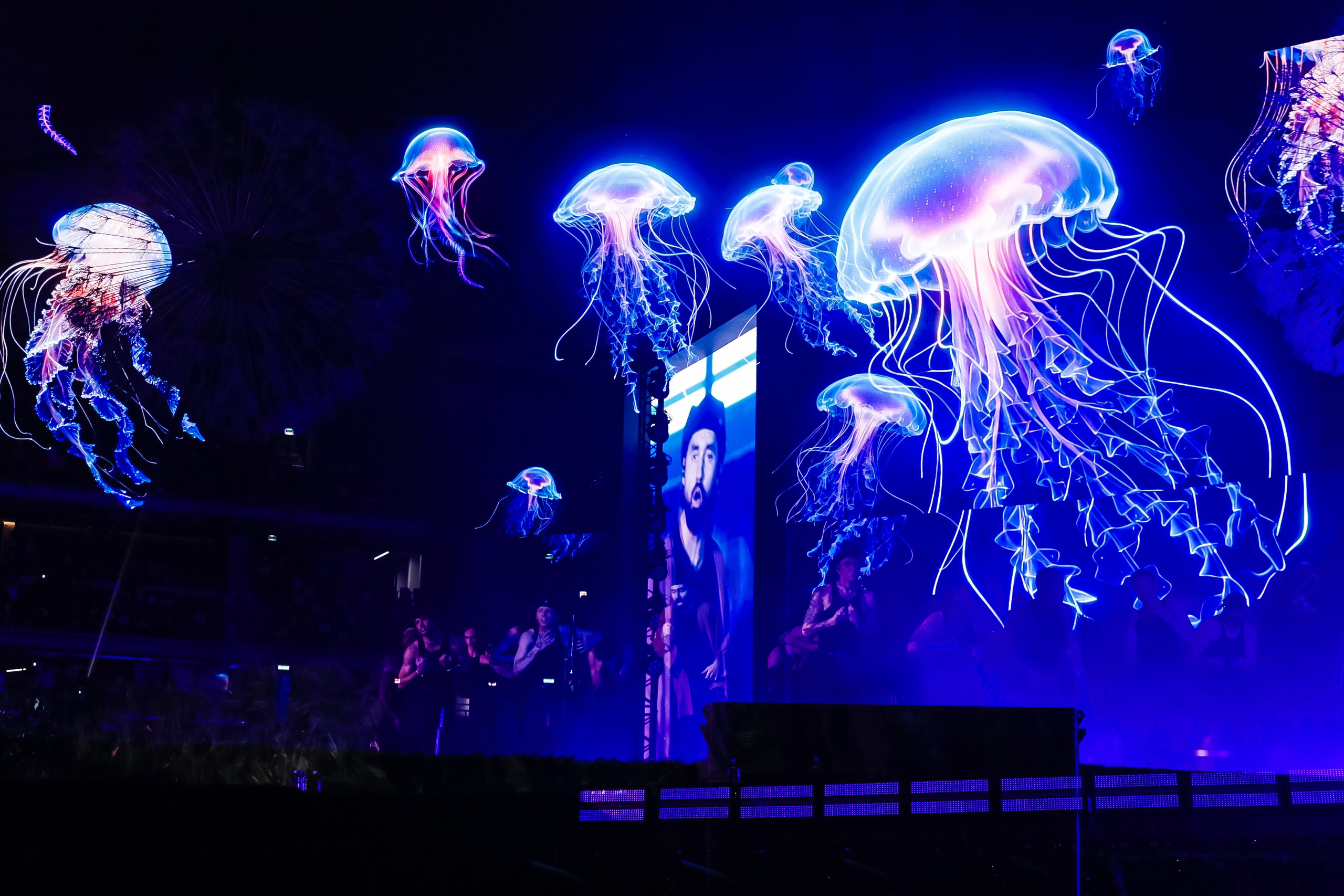 Концерт МОТа. Фотограф в Москве