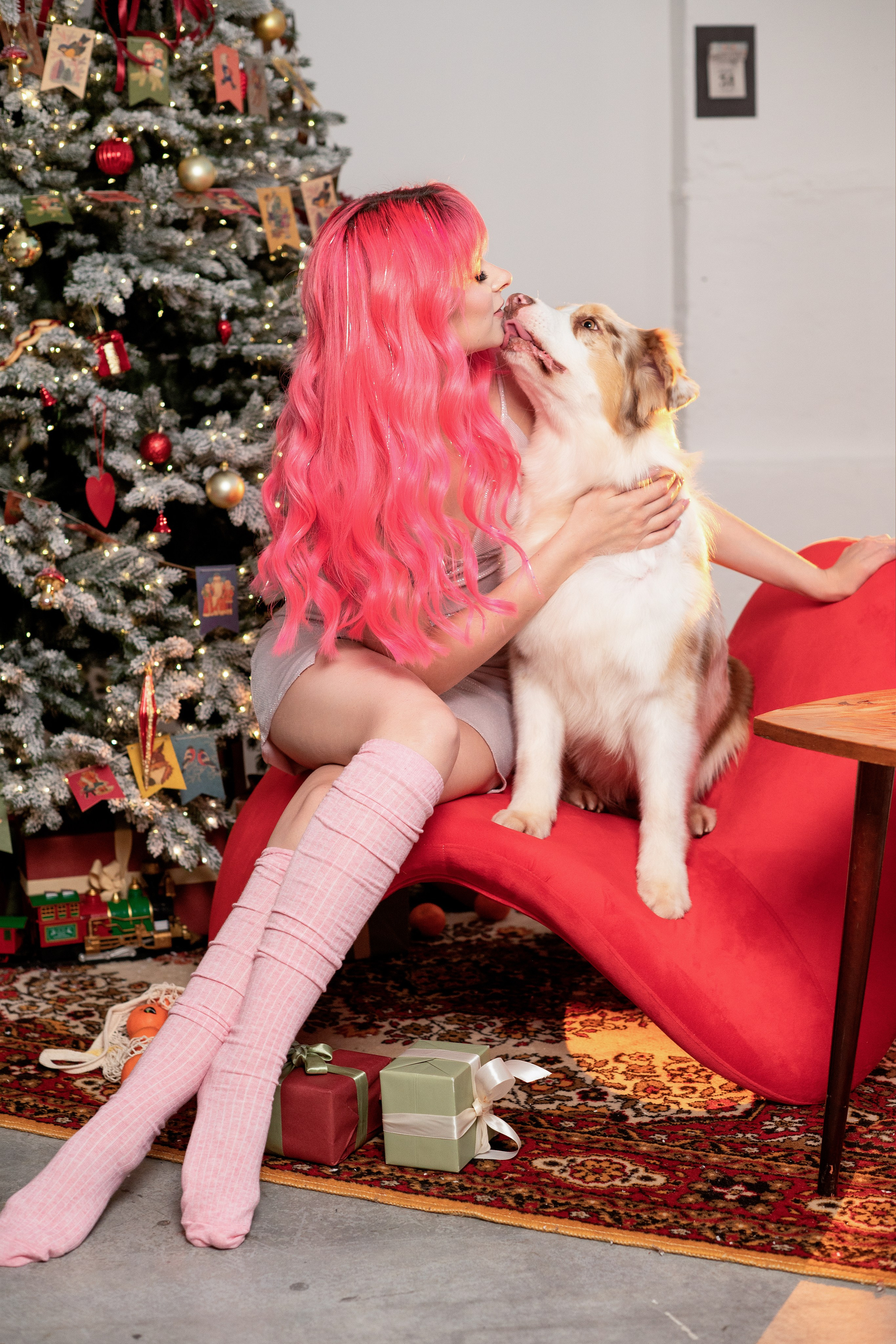 Фотодень с Австралийской овчаркой. Творческий фотограф Вологда