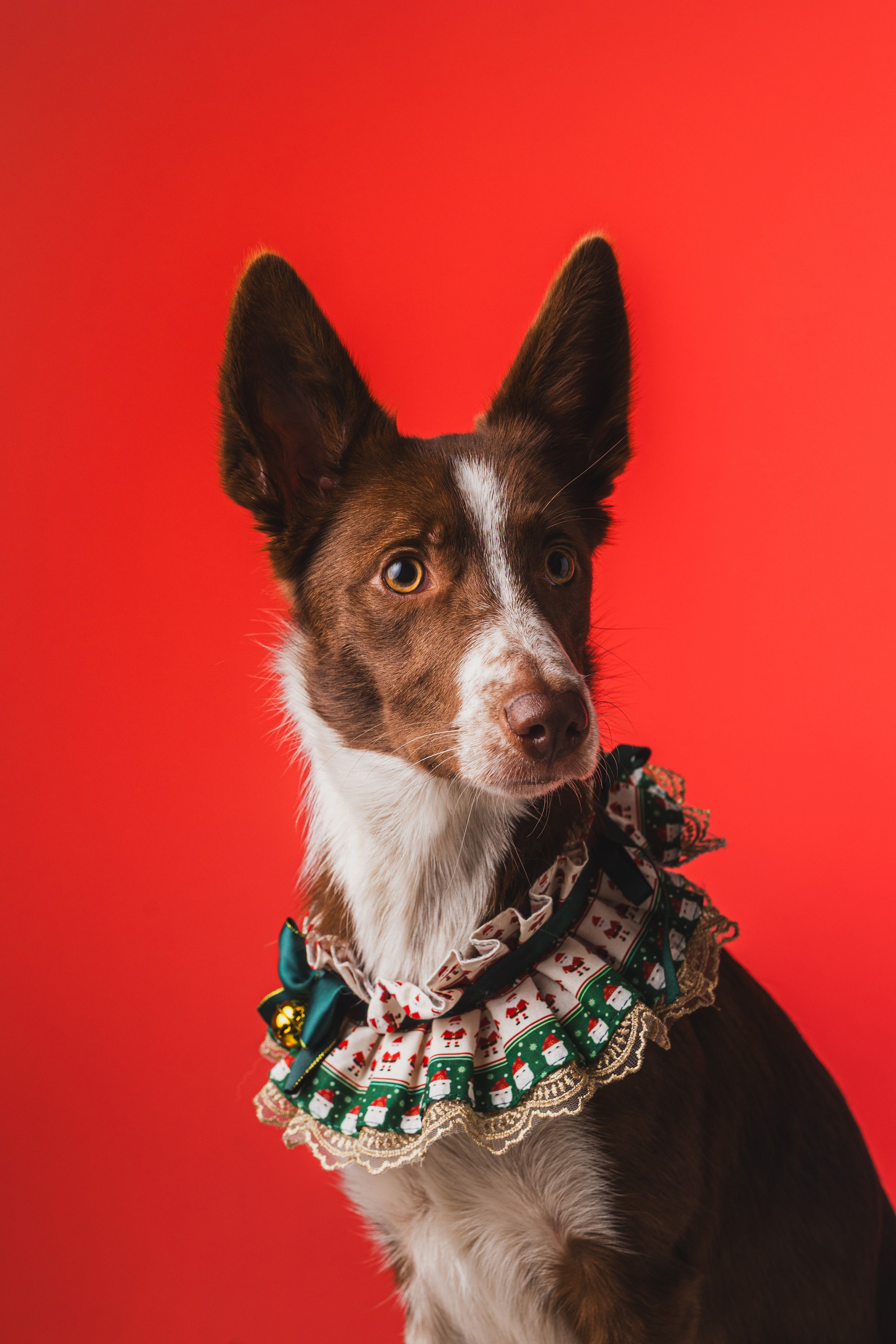 Воркшоп по импульсному свету