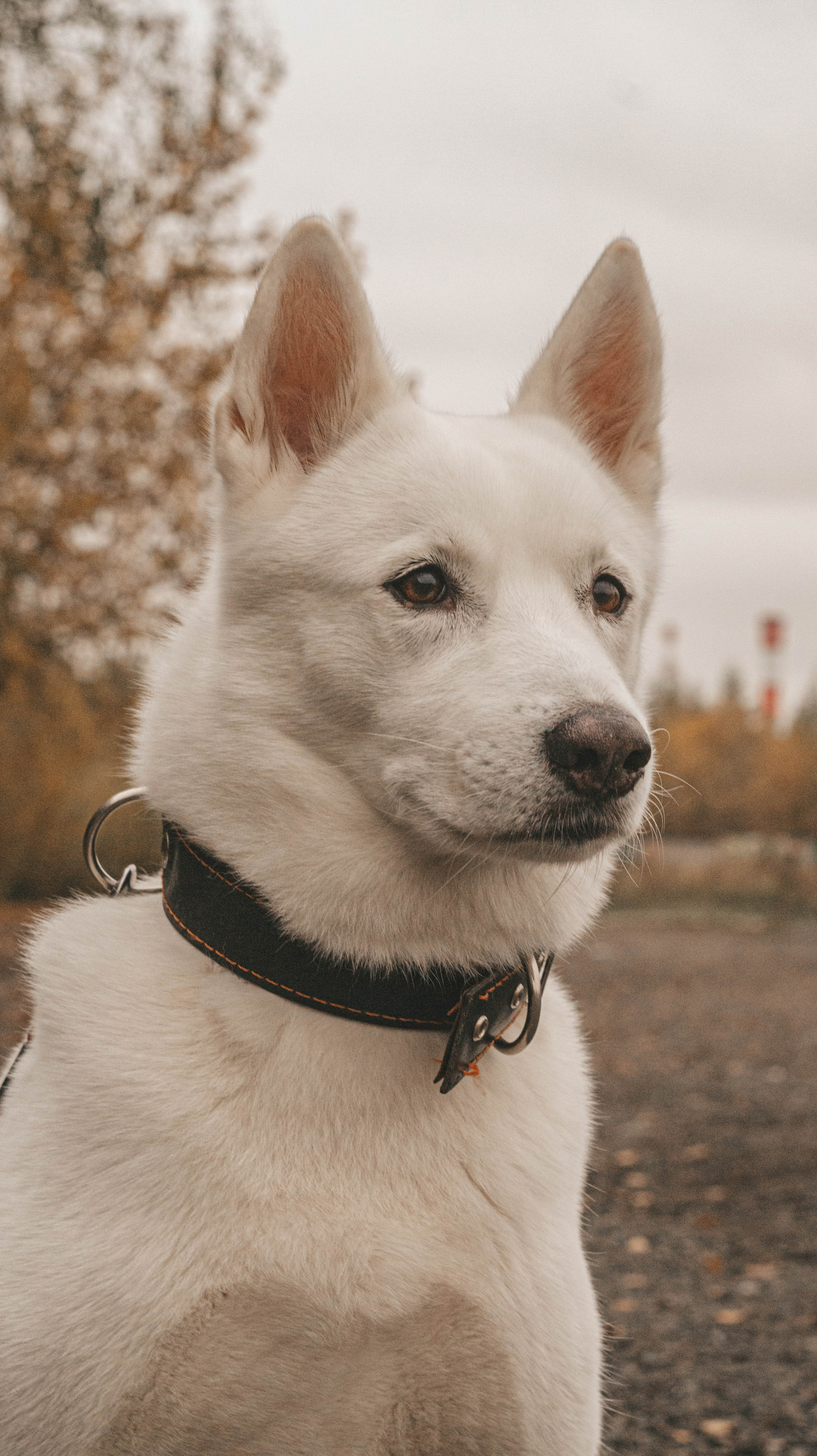 Мария&Бэлла. Профессиональный фотограф