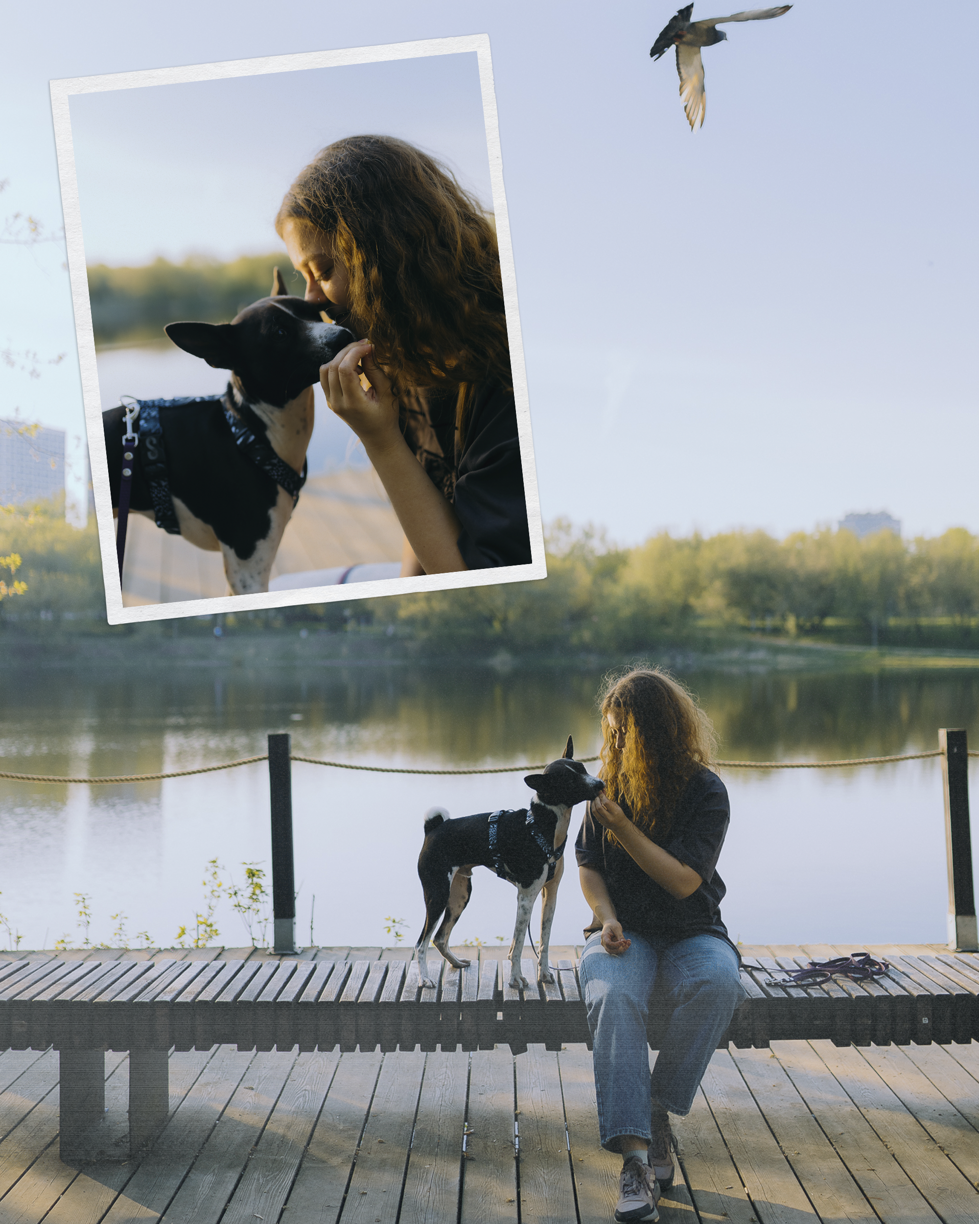 🐶. Фотограф Вика Про
