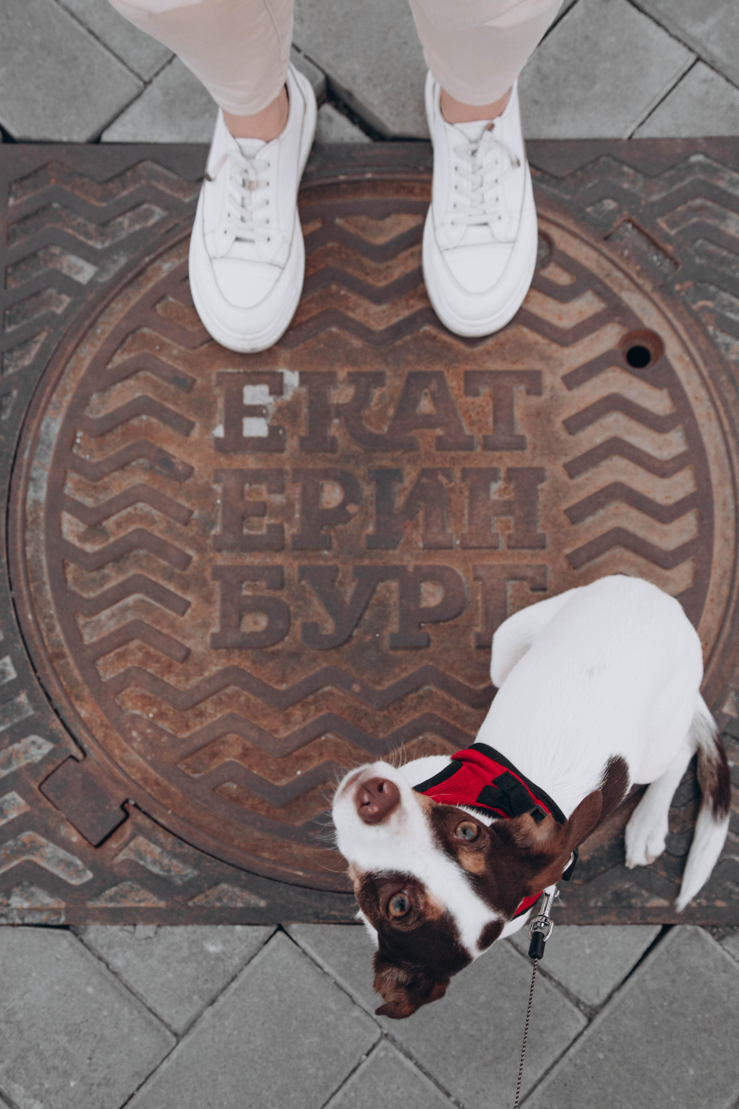 Content. Фотограф Света Бажина