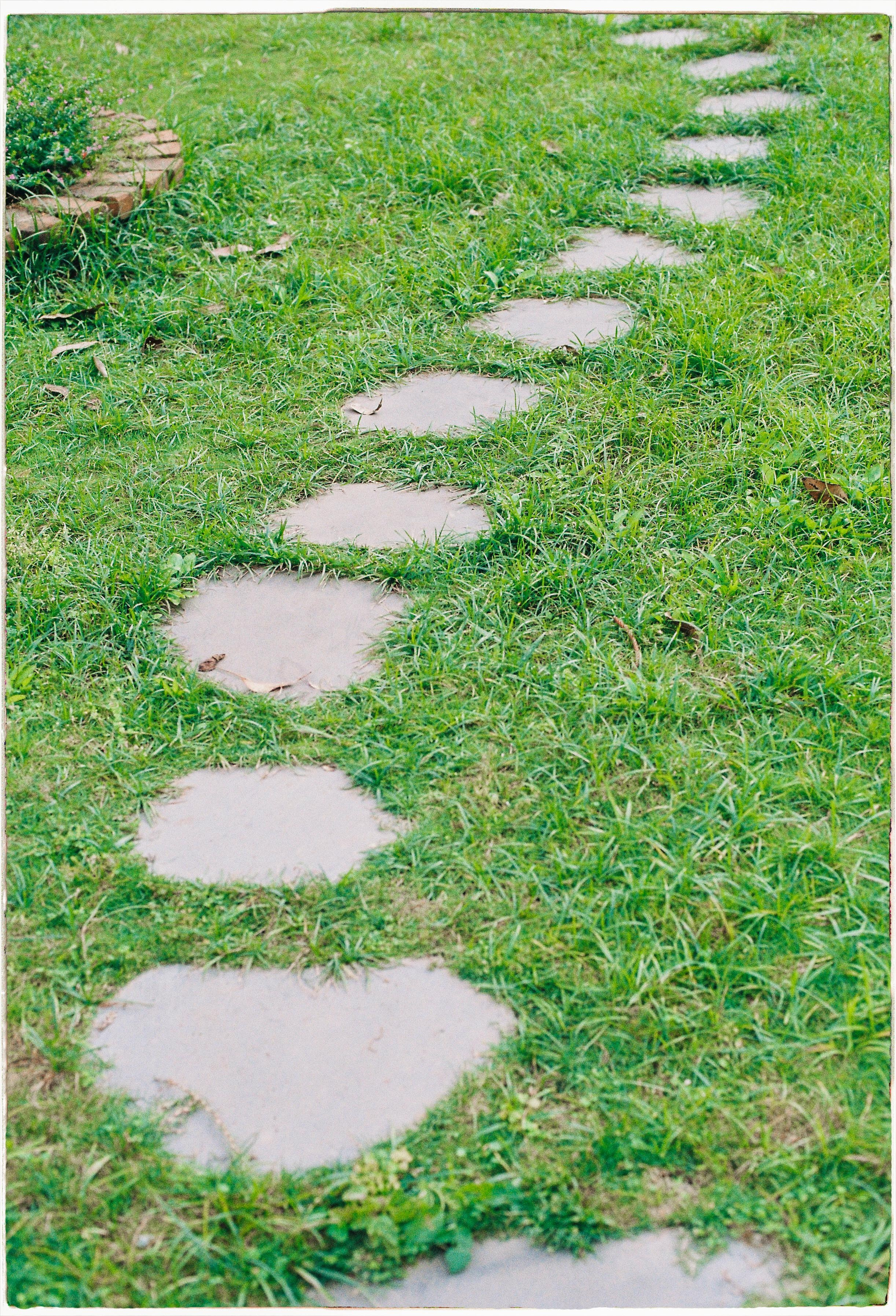 Dalat 2024. Film Photographer in Da Nang, Vietnam — Tanya Parfenteva