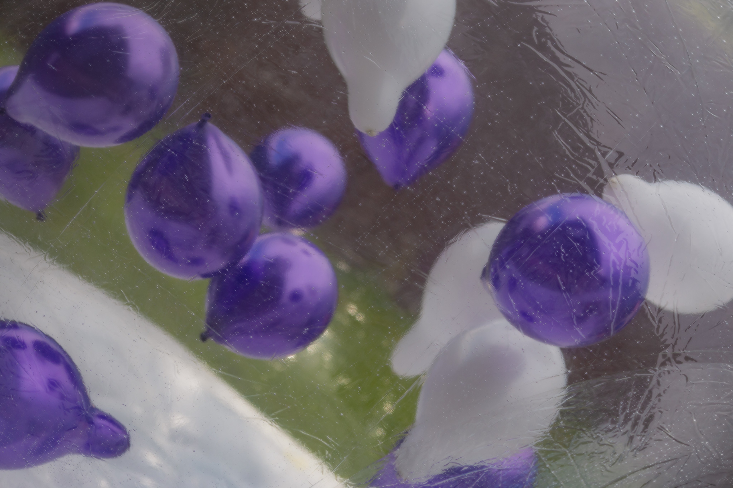 День Рождения Киры 1 год. Детский и семейный фотограф Евгения Вахнеева Москва Зеленоград