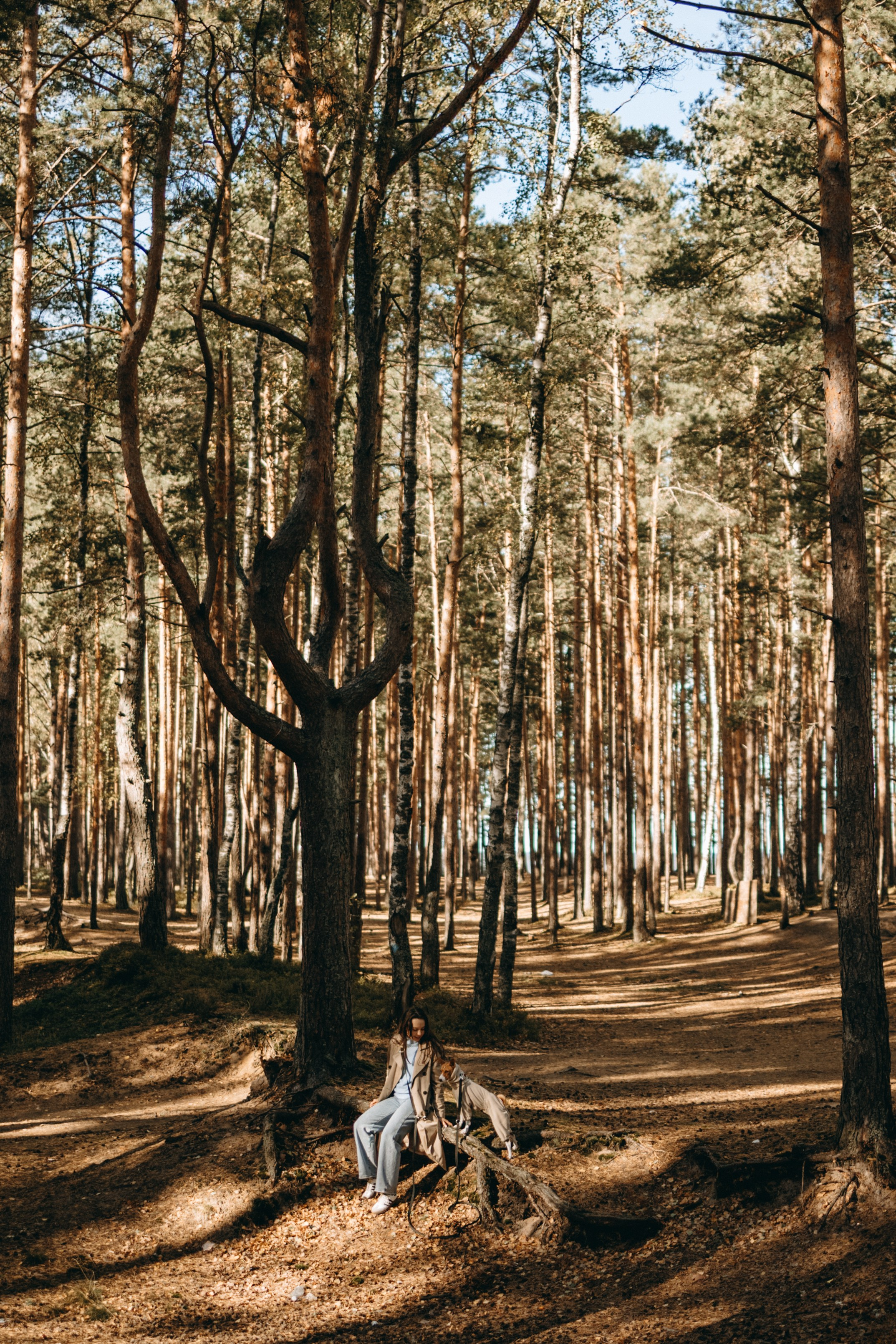 Алиса и Лео. Фотограф — Анималист | Санкт-Петербург