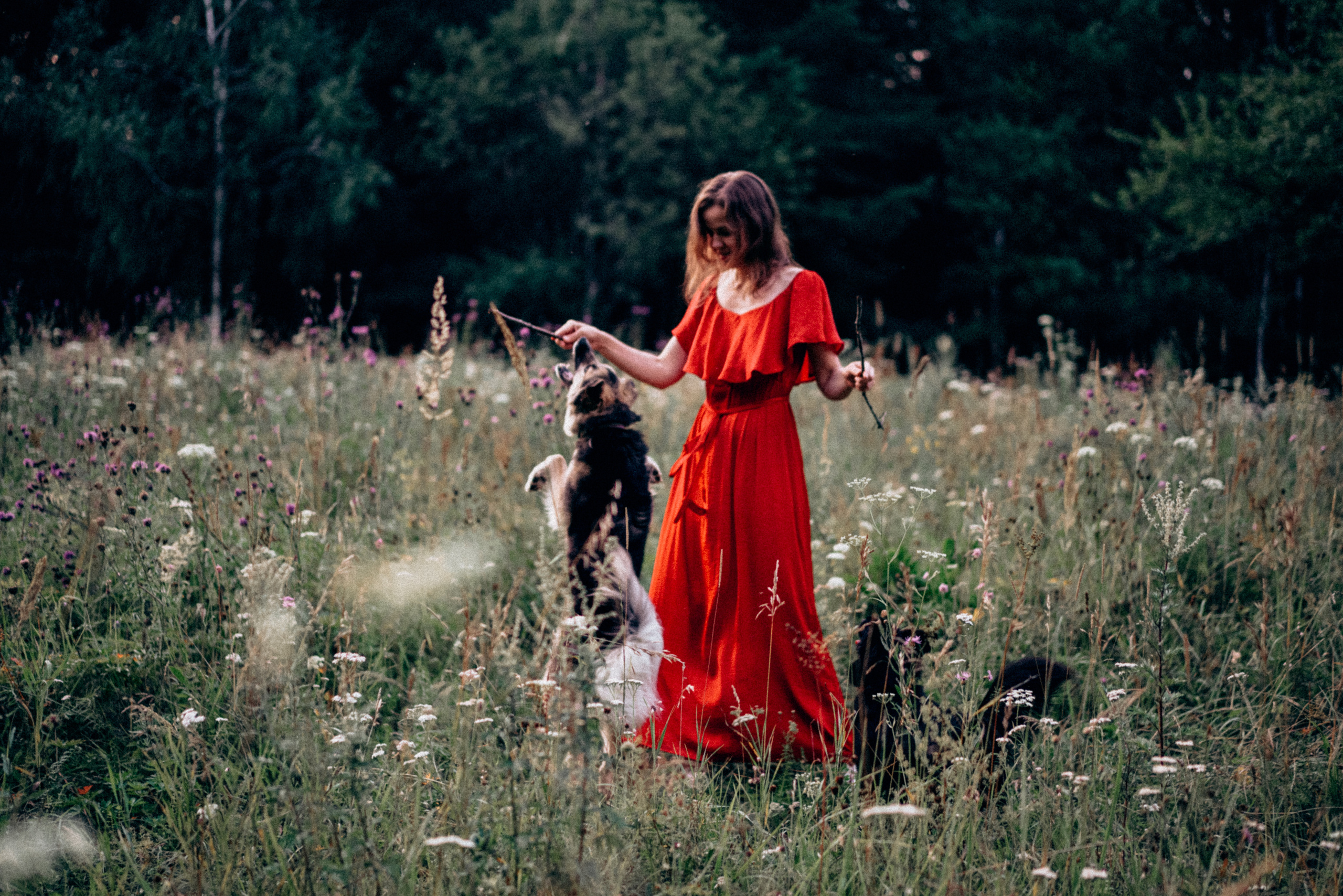 Юля, Сэра и Лютик. Фотограф Казань