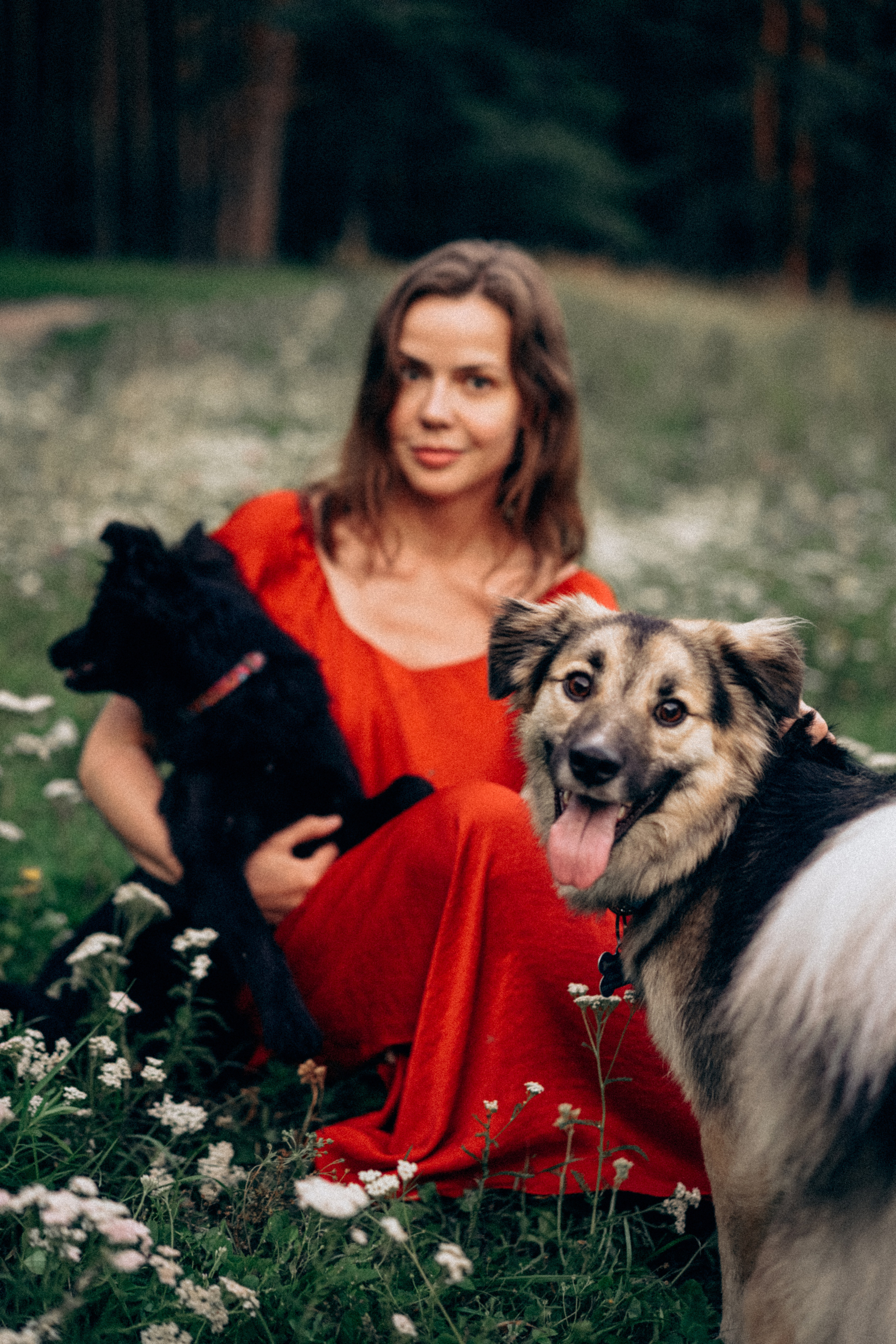 Юля, Сэра и Лютик. Фотограф Казань