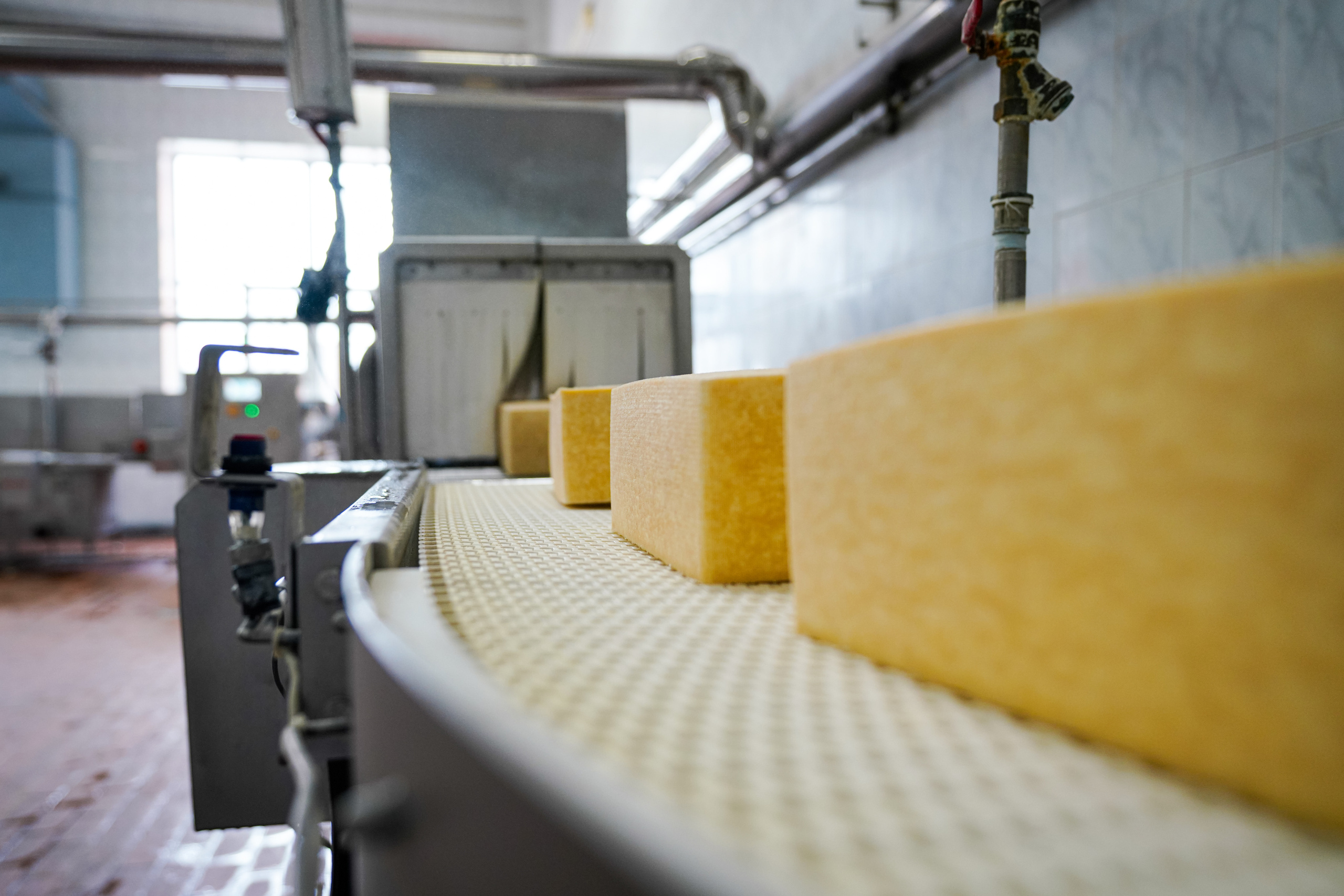 Завод «Азбука Сыра» г. Мамадыш. Фотограф Казань