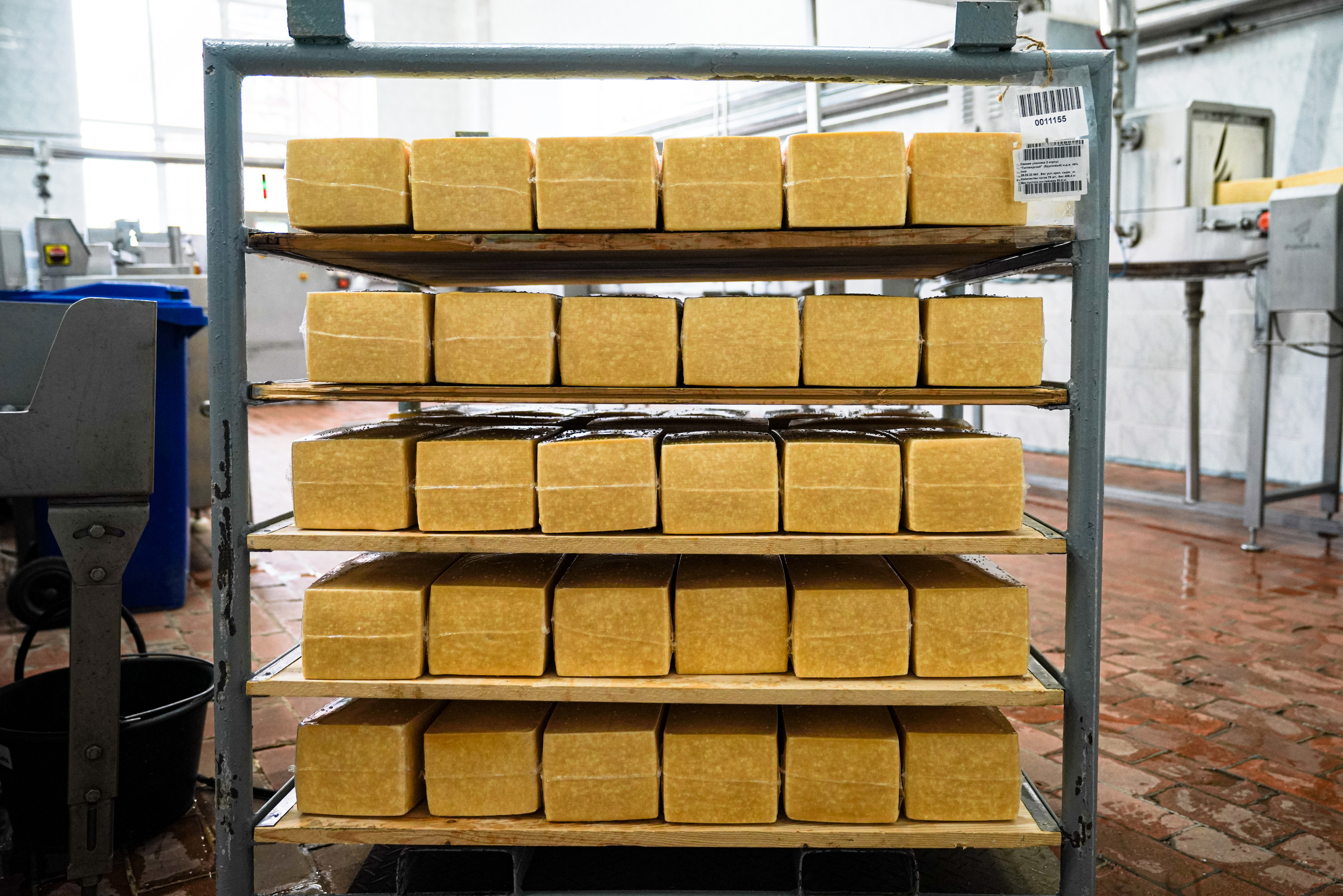 Завод «Азбука Сыра» г. Мамадыш. Фотограф Казань