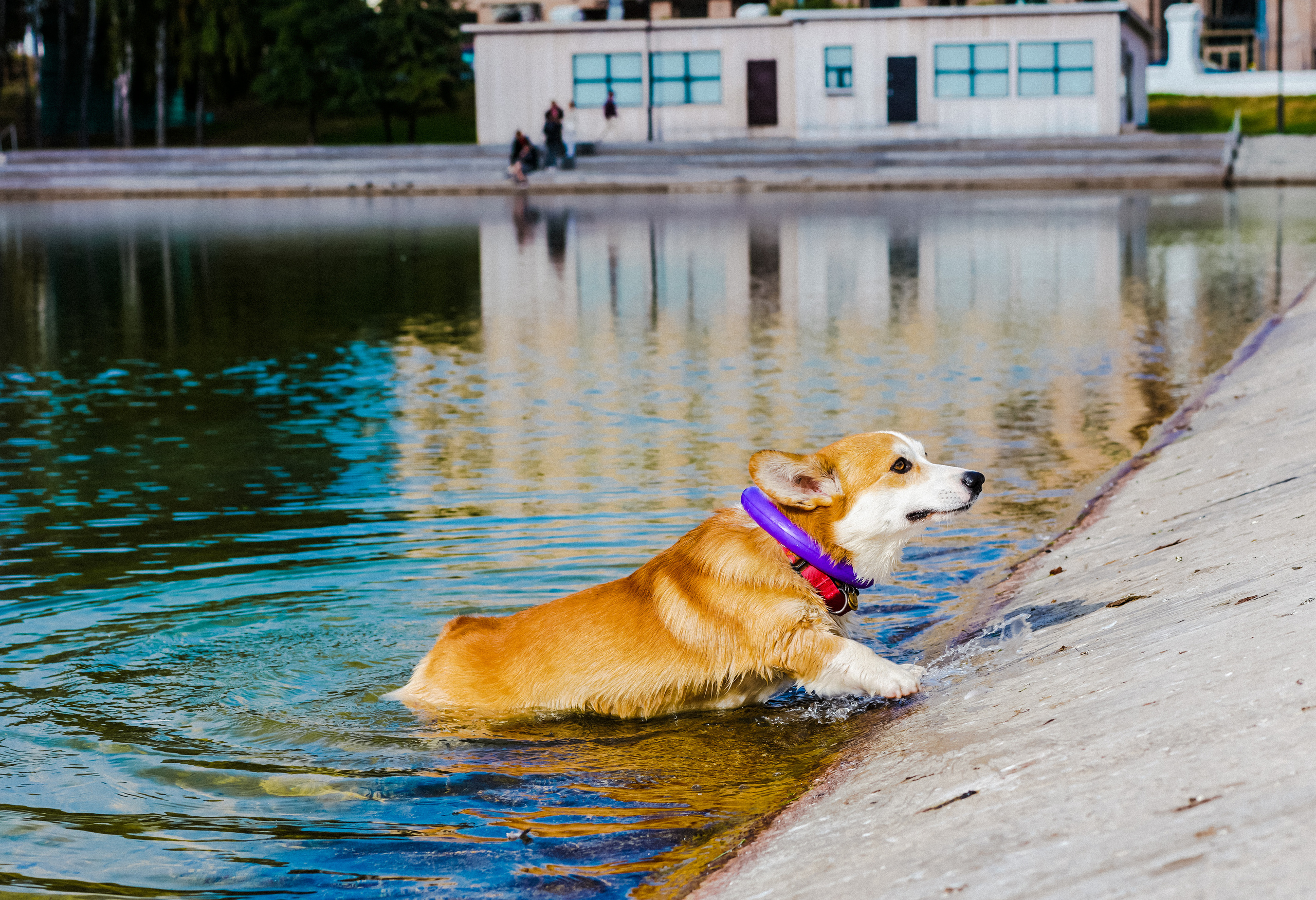Даша и Аарон. Фотограф Казань
