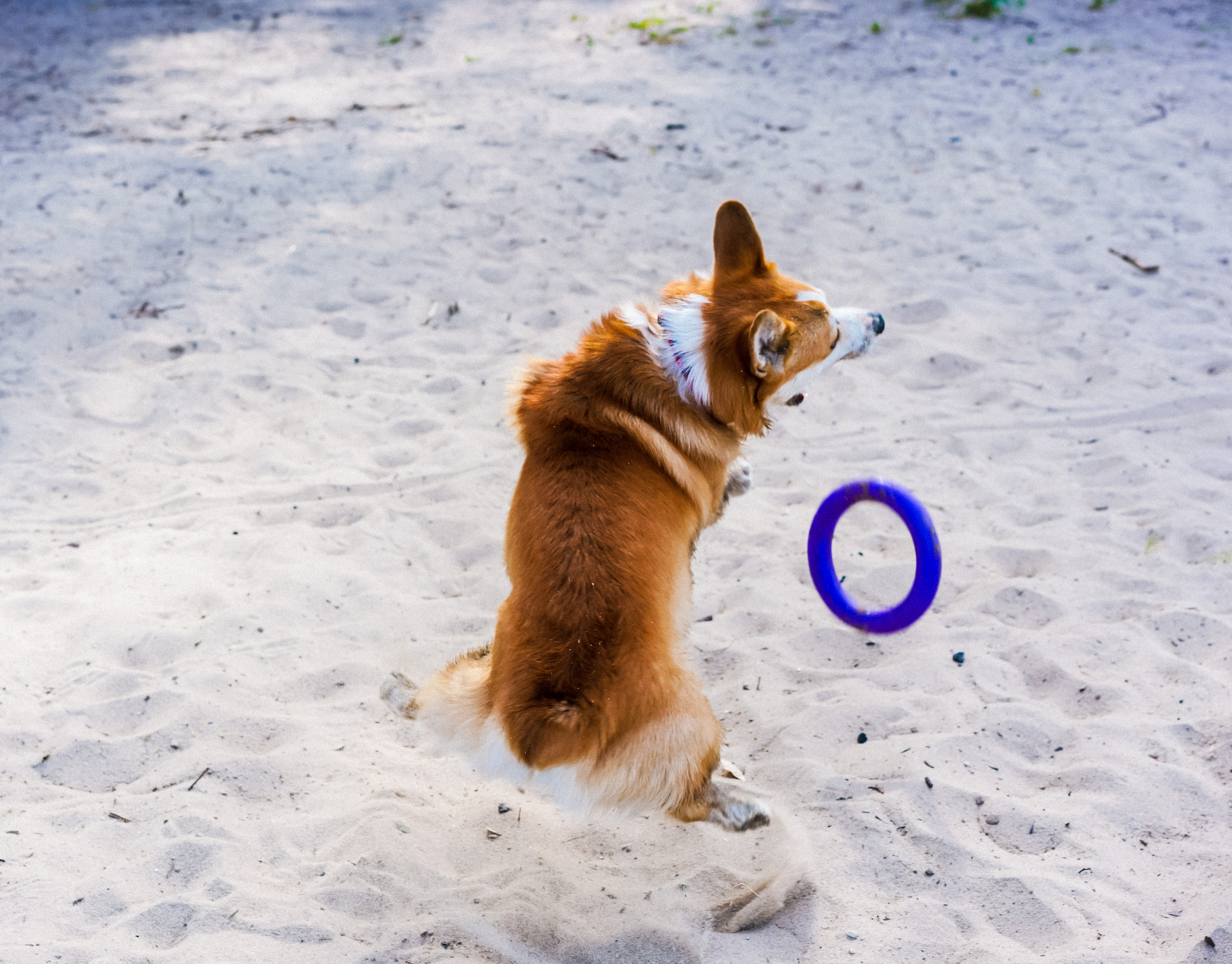 Даша и Аарон. Фотограф Казань