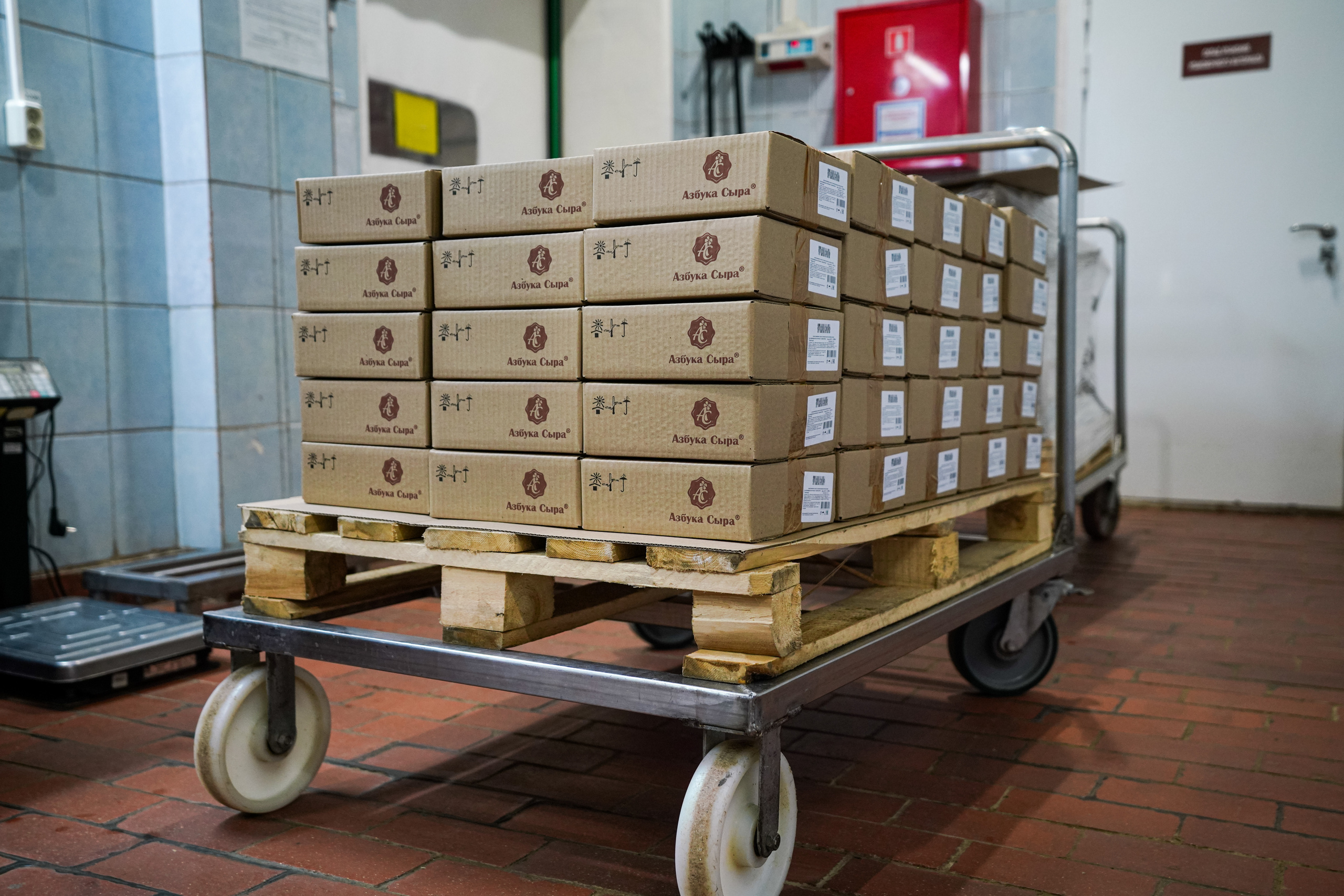 Завод «Азбука Сыра» г. Мамадыш. Фотограф Казань