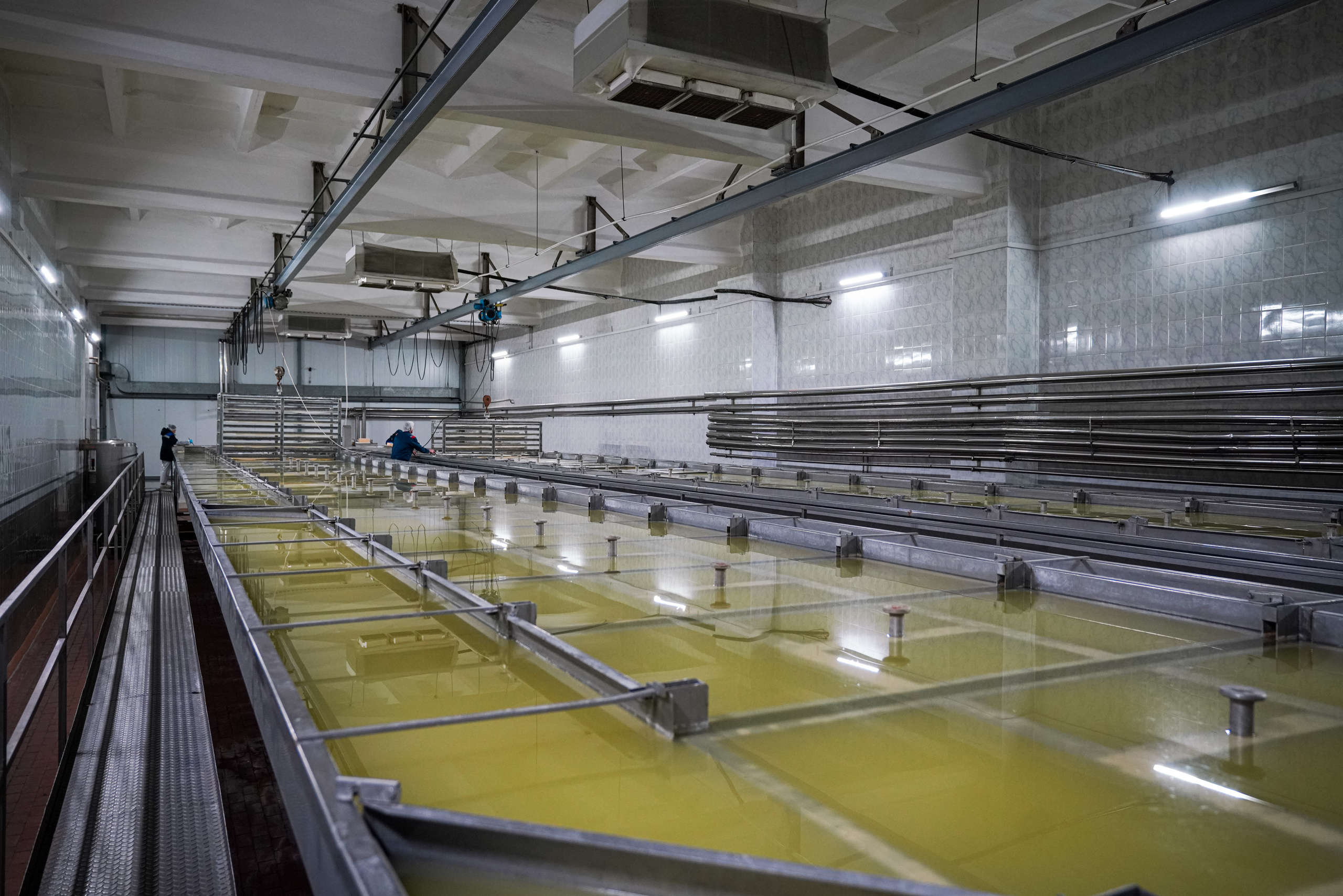 Завод «Азбука Сыра» г. Мамадыш. Фотограф Казань