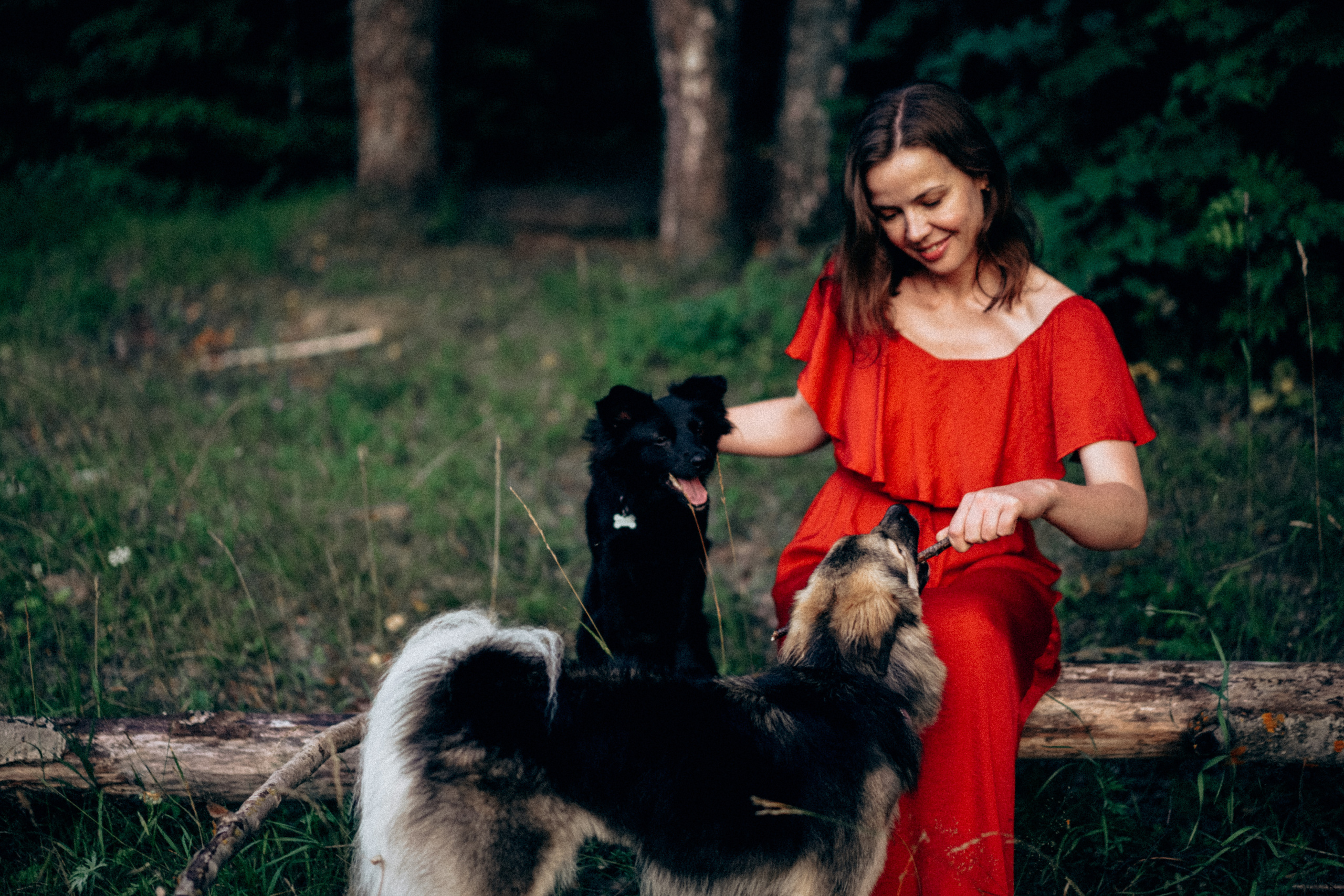 Юля, Сэра и Лютик. Фотограф Казань