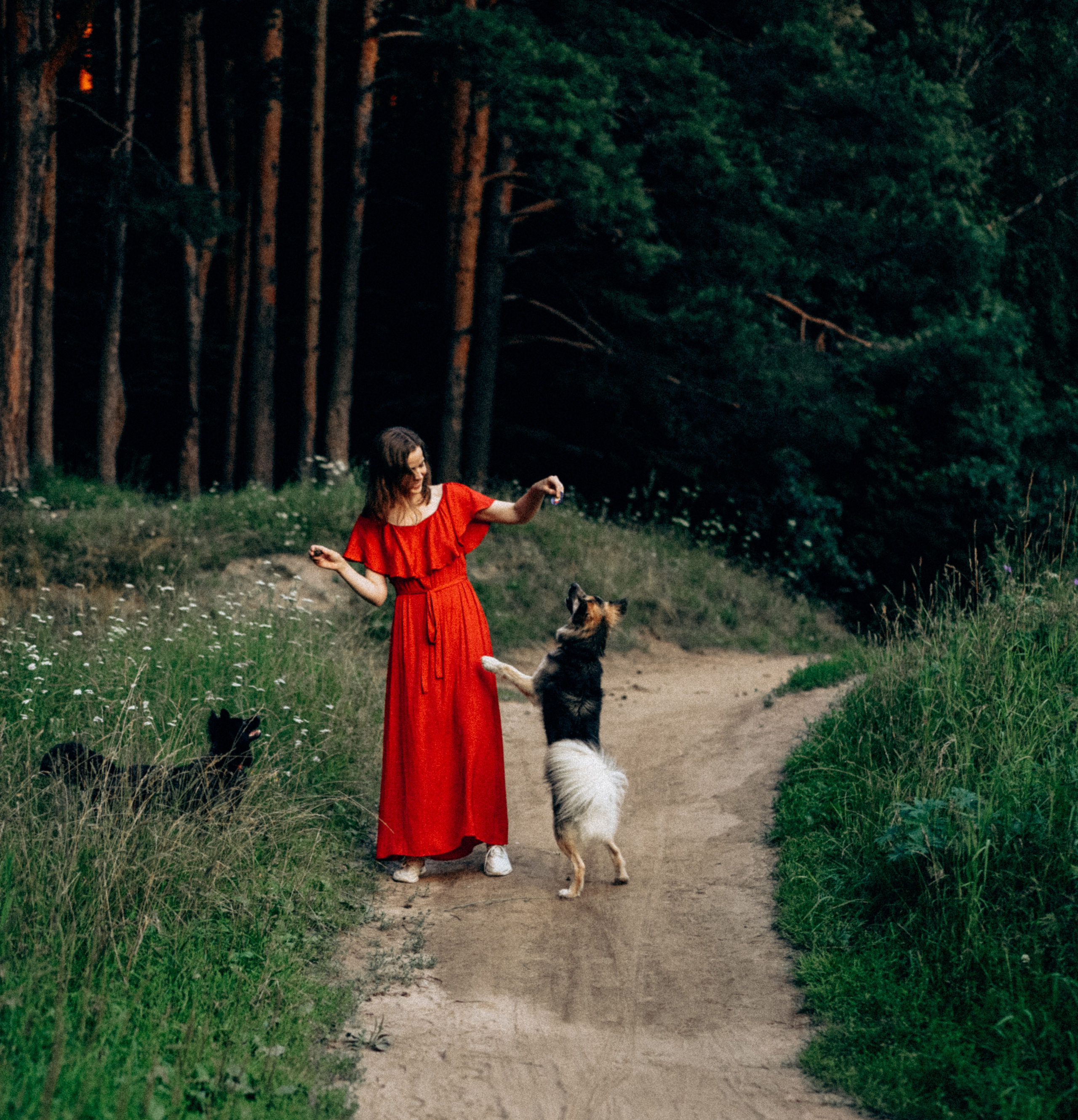 Юля, Сэра и Лютик. Фотограф Казань