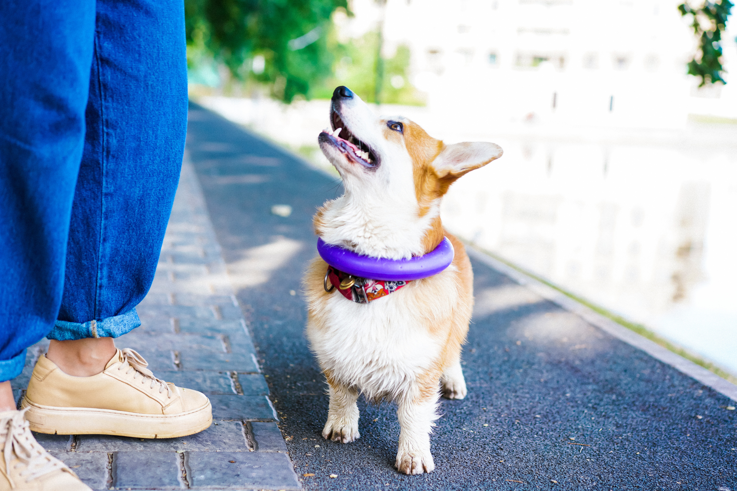 Даша и Аарон. Фотограф Казань
