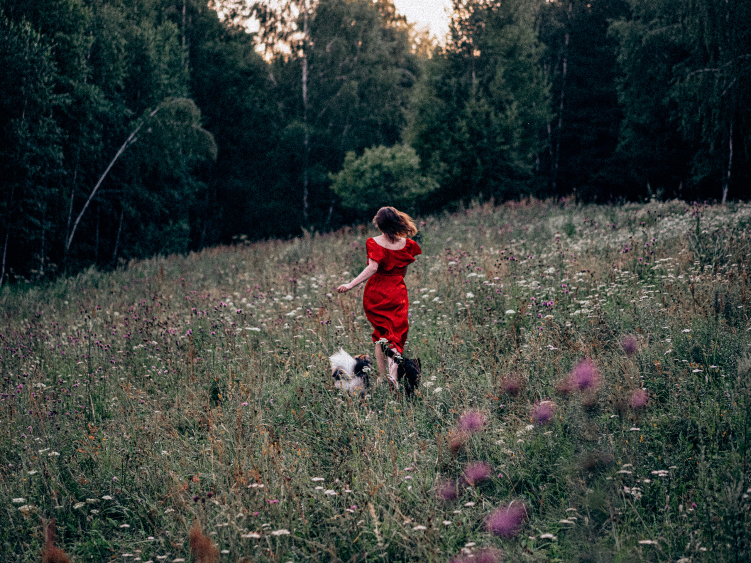 Юля, Сэра и Лютик. Фотограф Казань