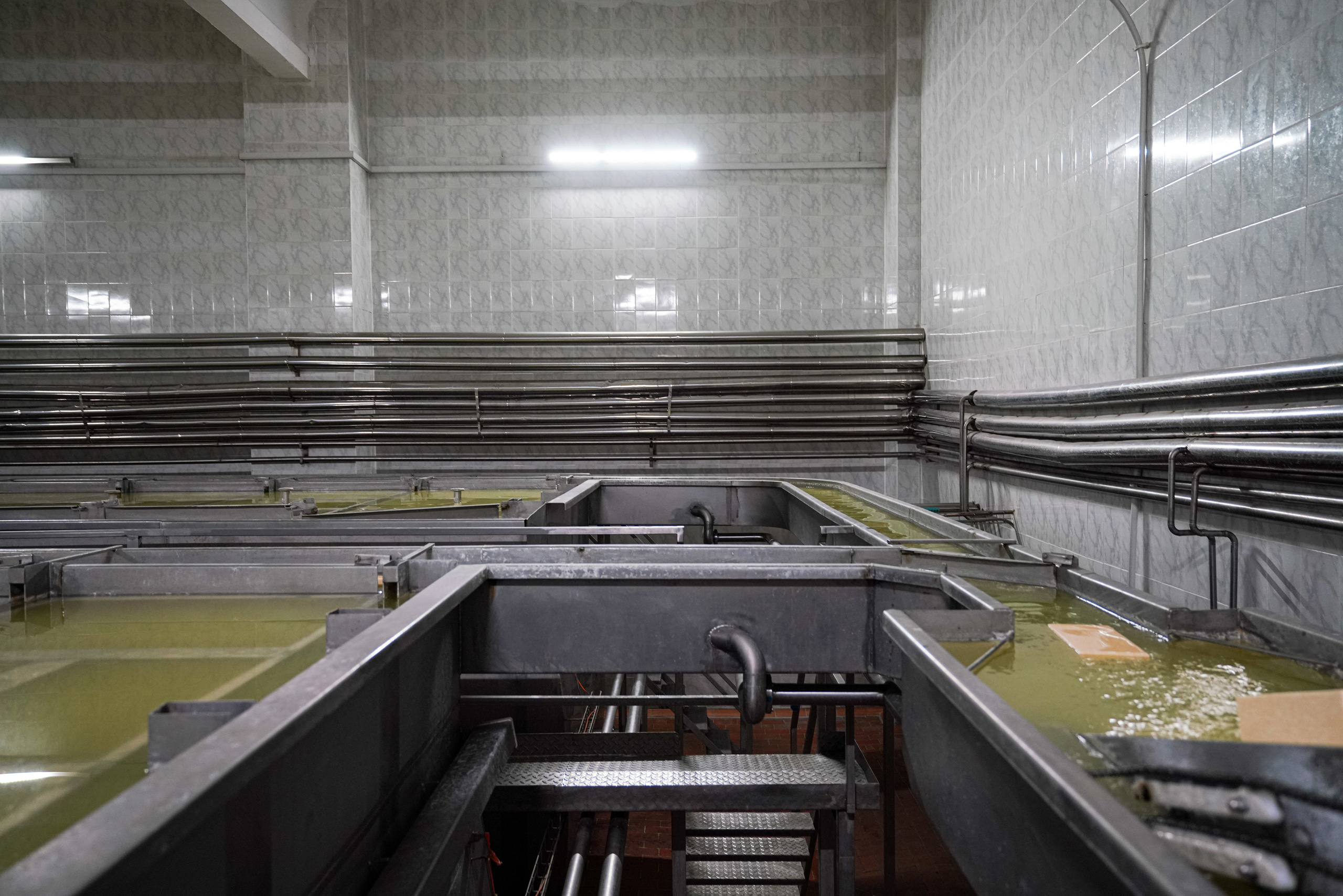 Завод «Азбука Сыра» г. Мамадыш. Фотограф Казань