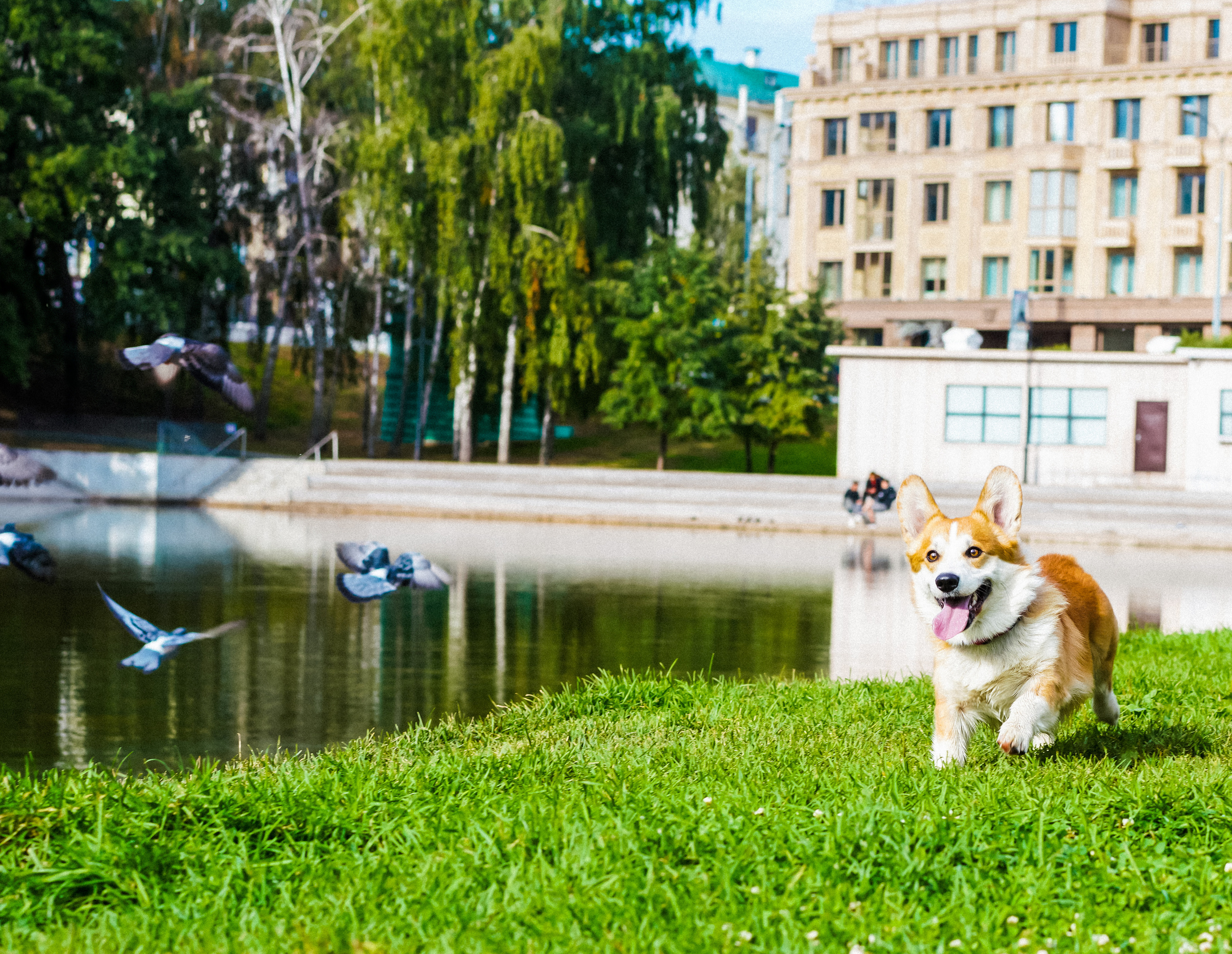 Даша и Аарон. Фотограф Казань